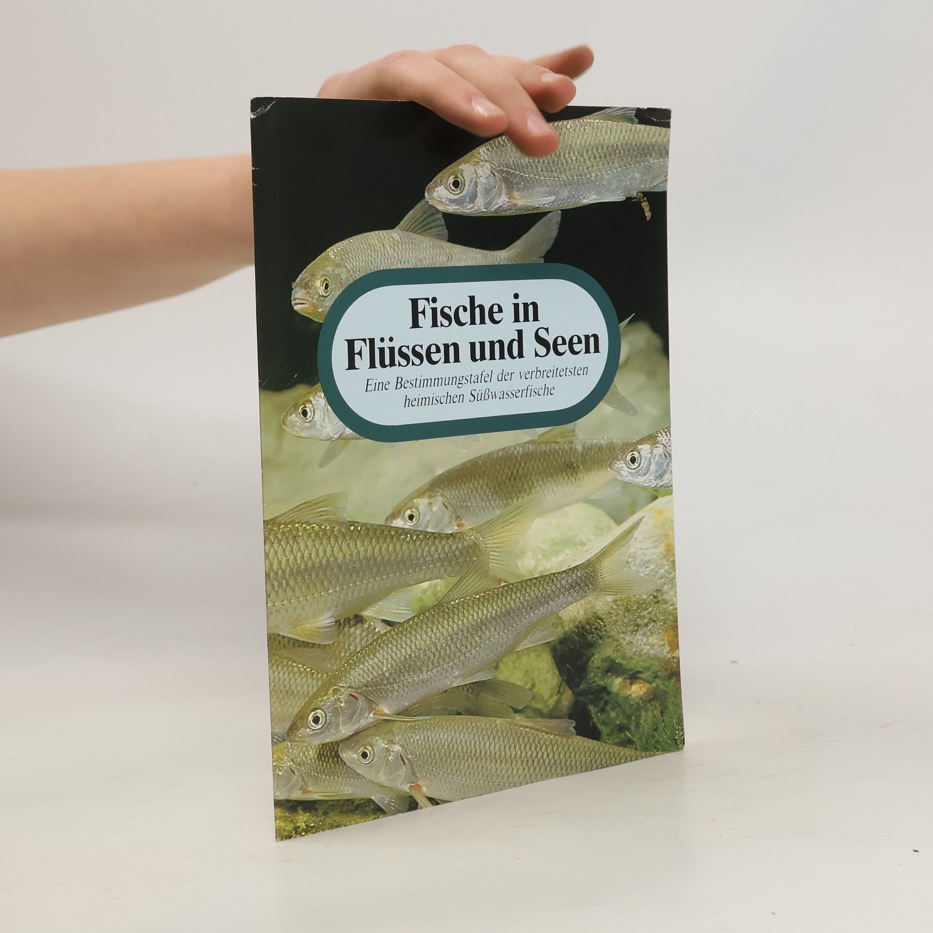 Autorenkollektiv Fische in Flüssen und Seen