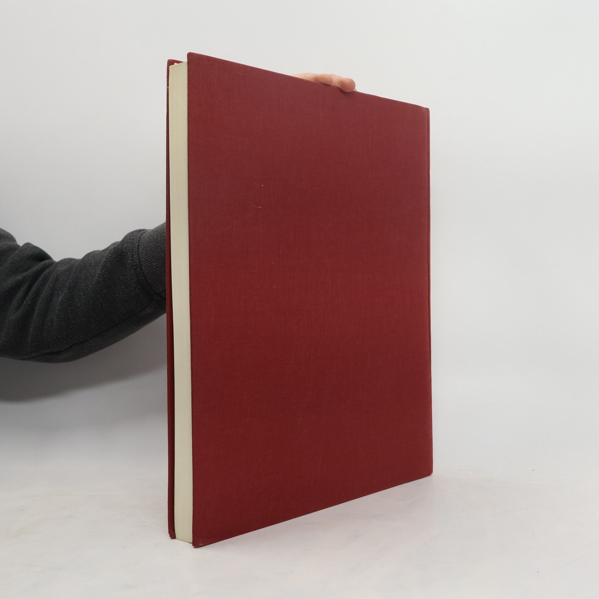Autorenkollektiv Das Wort. Erzählungen aus der Heiligen Schrift