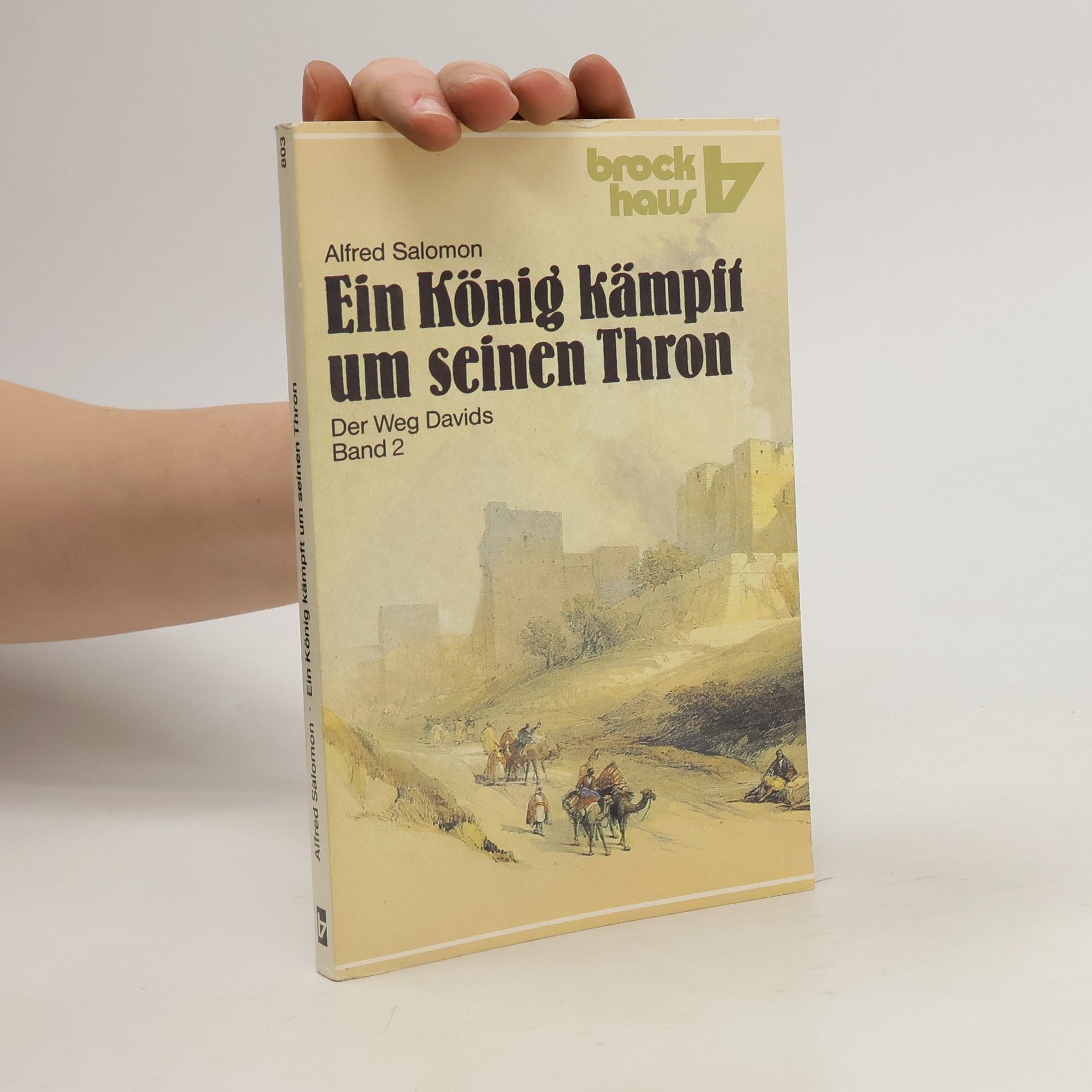 Alfred Salomon Ein König kämpft um seinen Thron. Der Weg Davids
