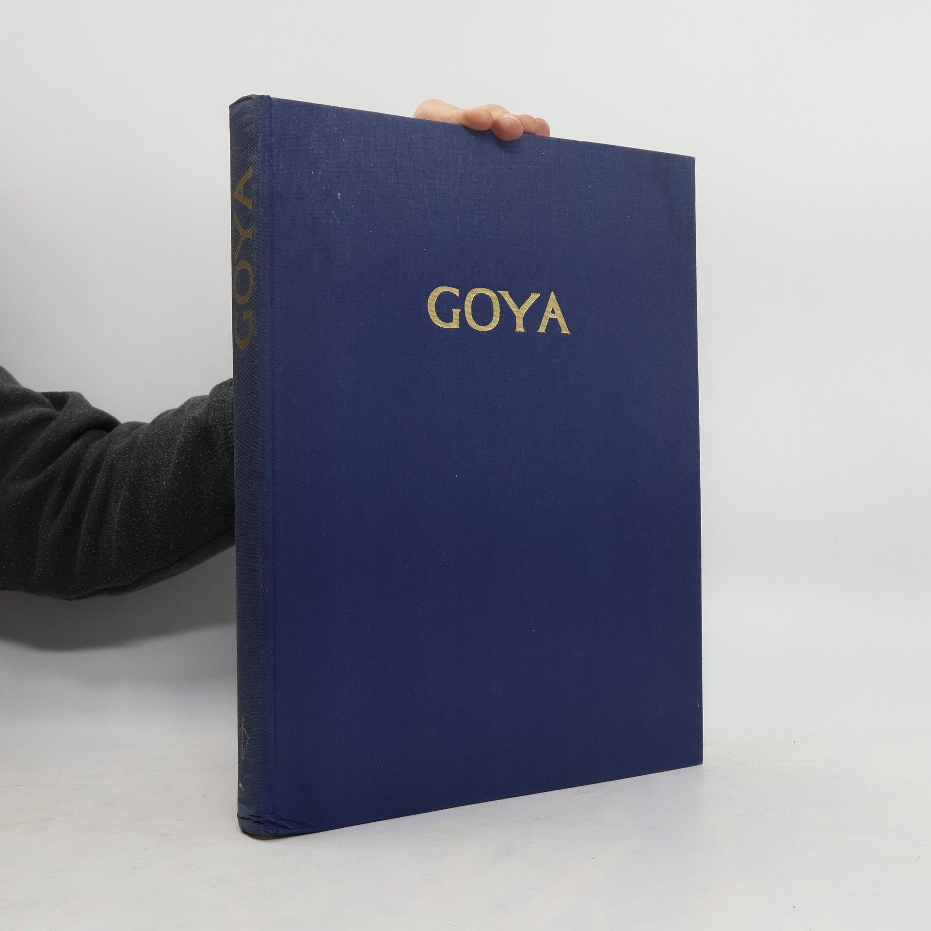 AA.VV. Goya