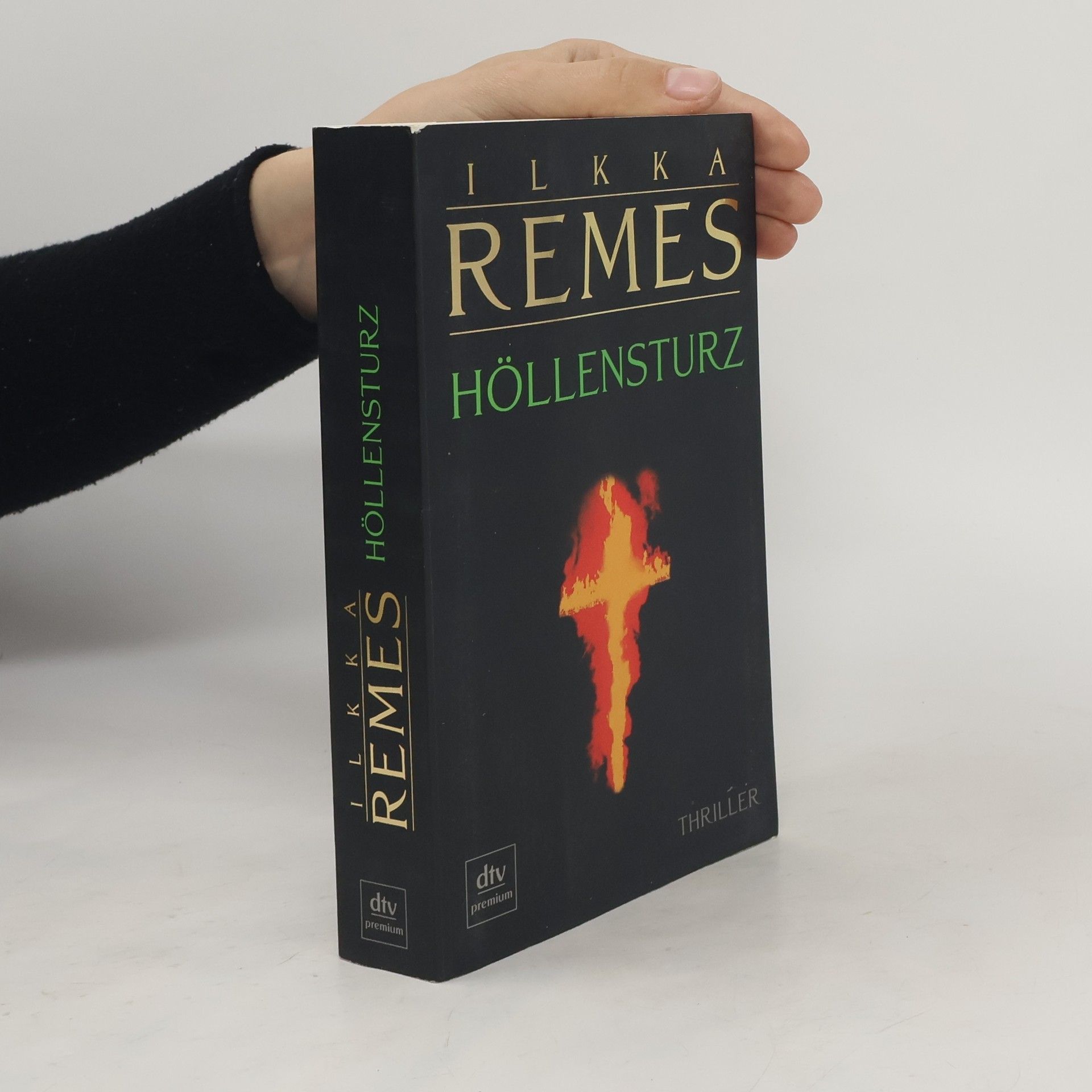 Ilkka Remes Höllensturz