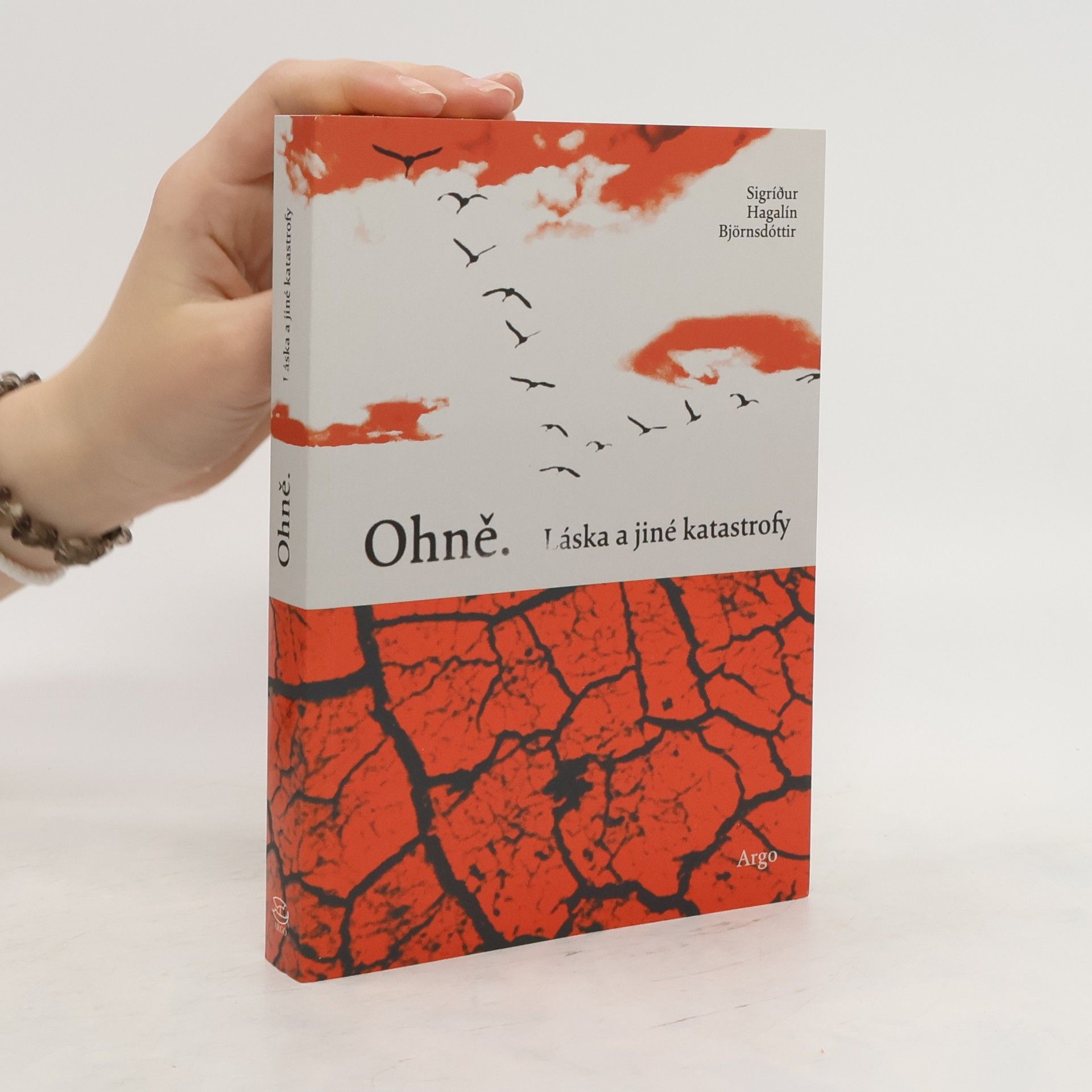 Sigríður Hagalín Björnsdóttir Ohně : láska a jiné katastrofy