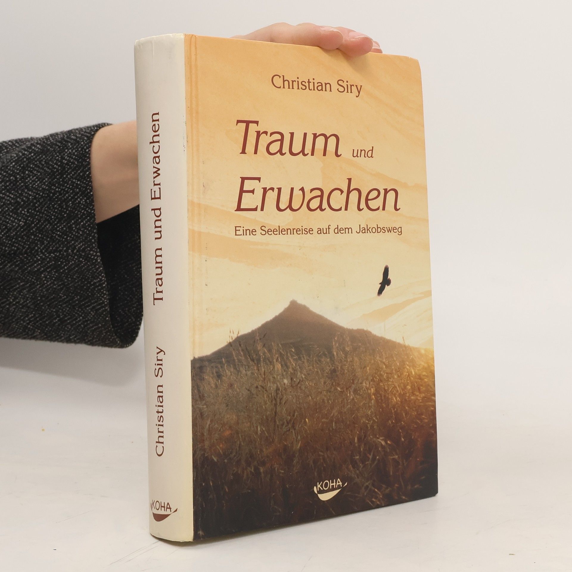 Christian Siry Traum und Erwachen