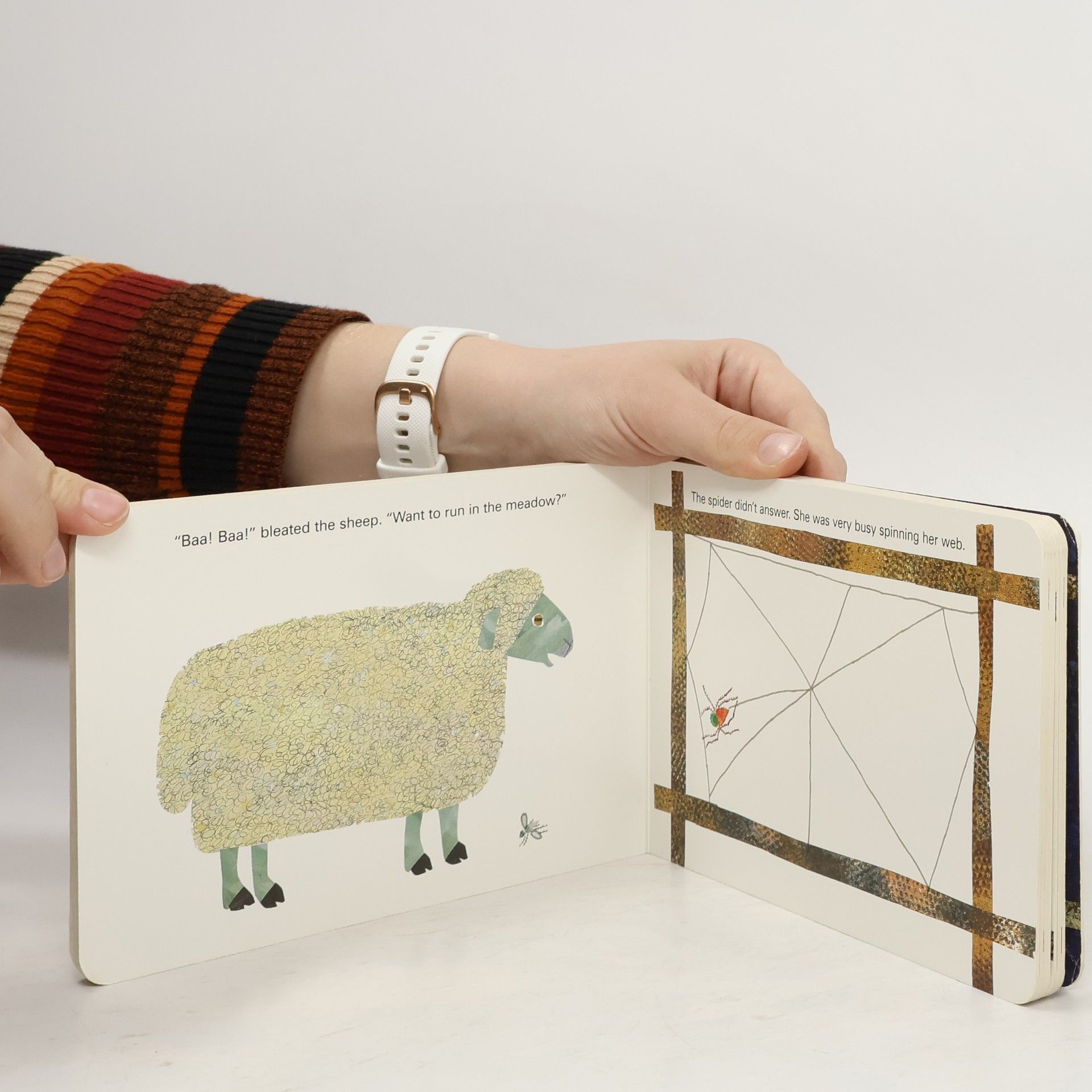 Eric Carle The very busy spider