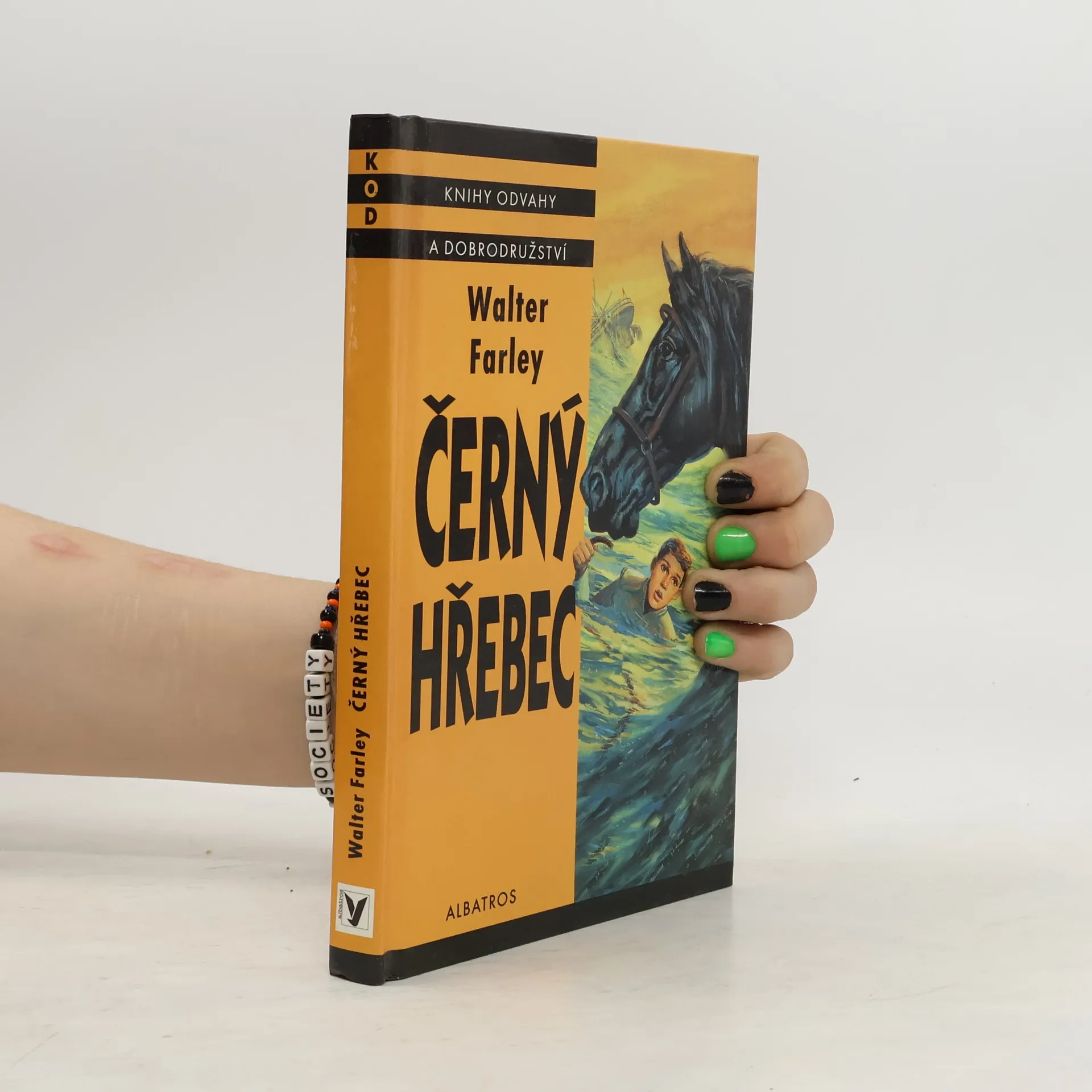Černý hřebec | Libro | Tapa dura | Walter Farley | CS