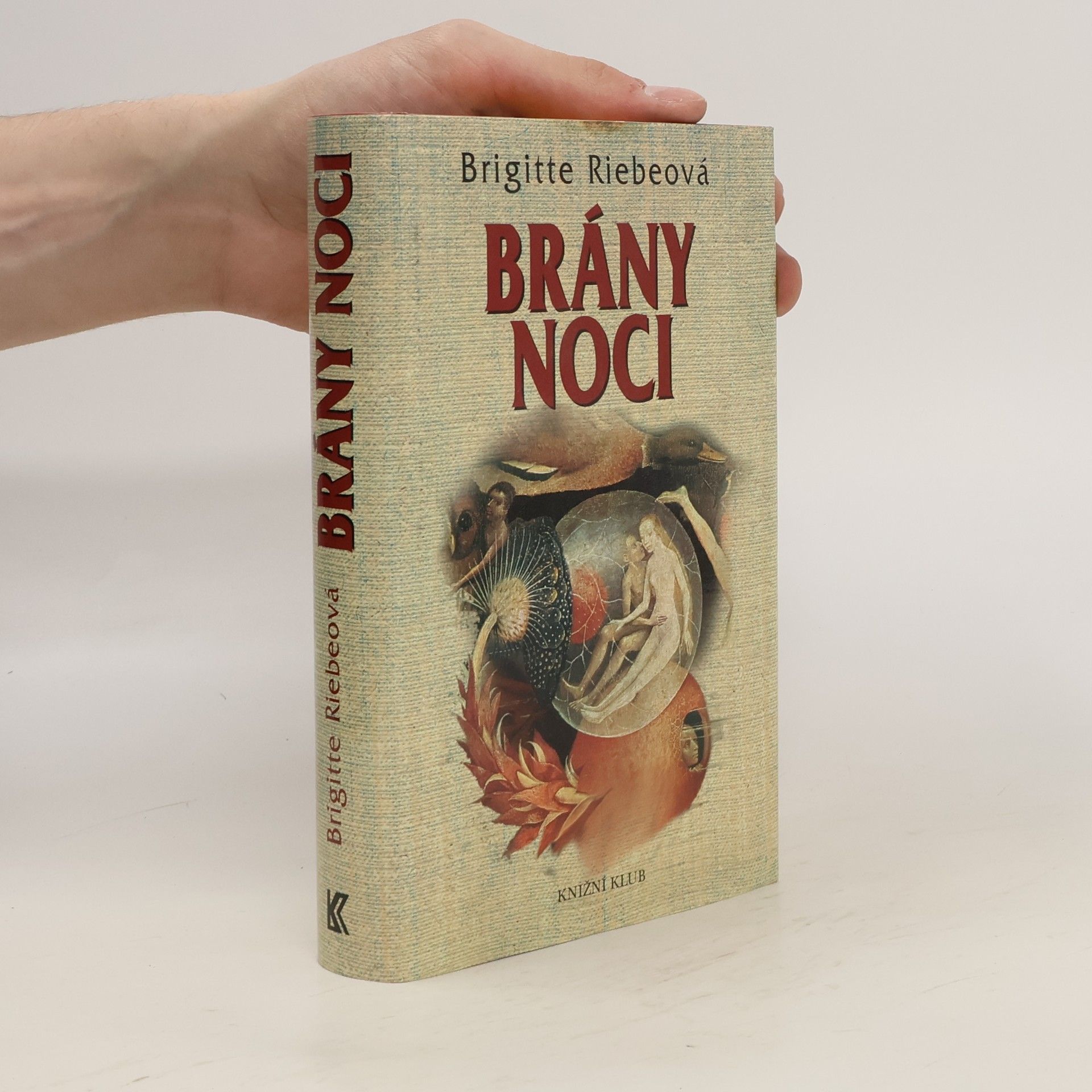 Brigitte Riebe Brány noci