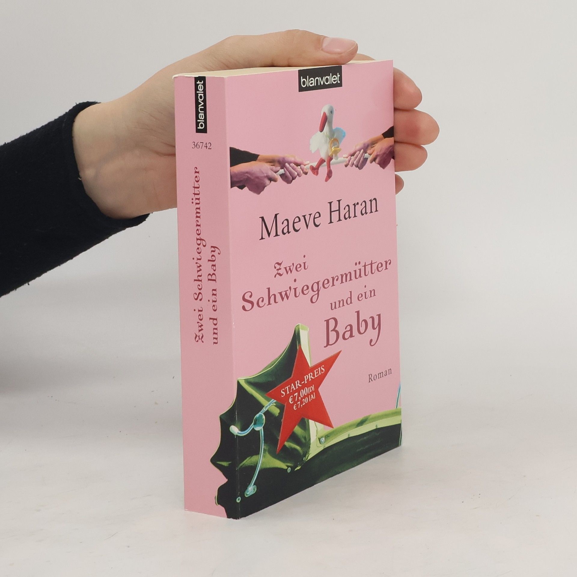 Maeve Haran Zwei Schwiegermütter und ein Baby