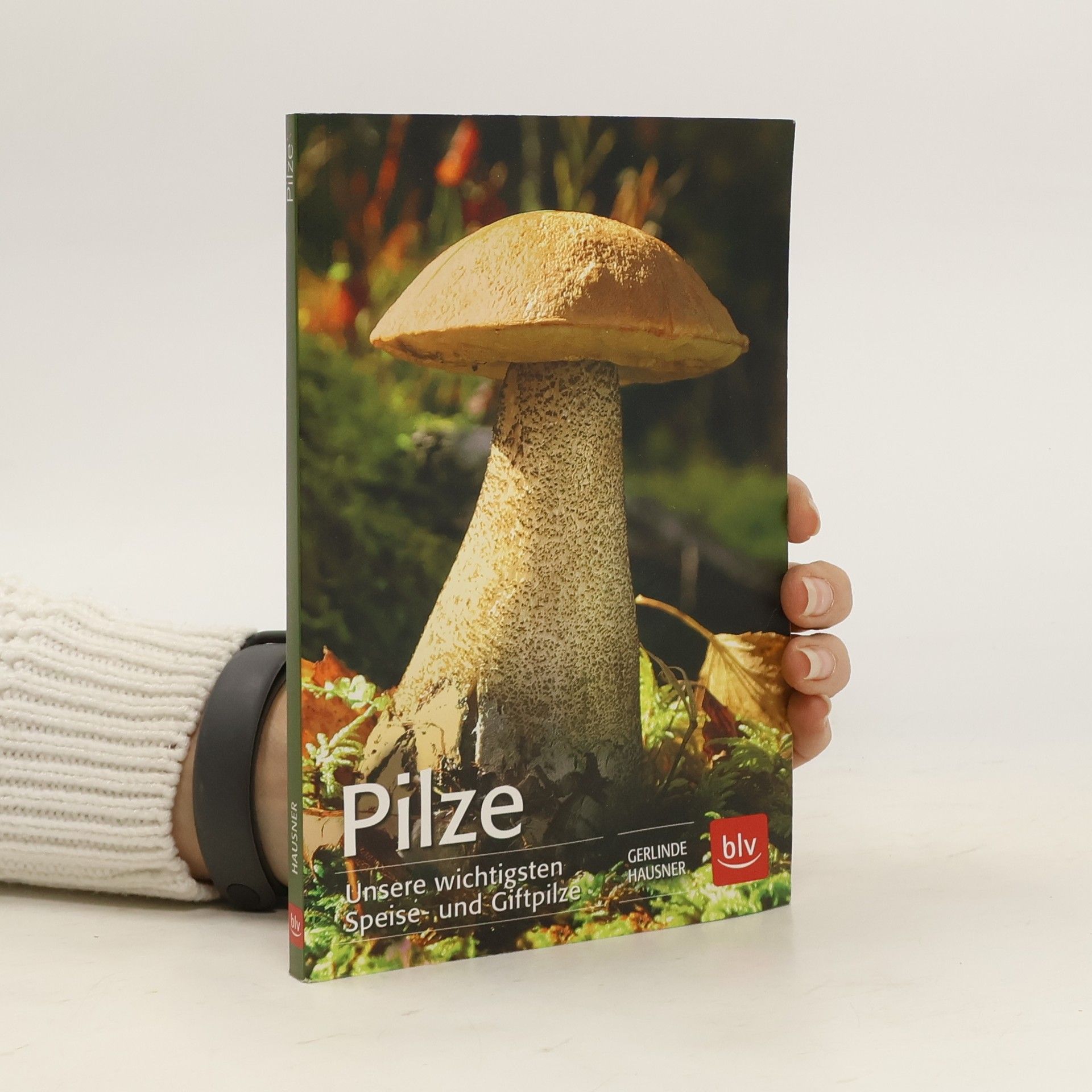 Gerlinde Hausner Pilze