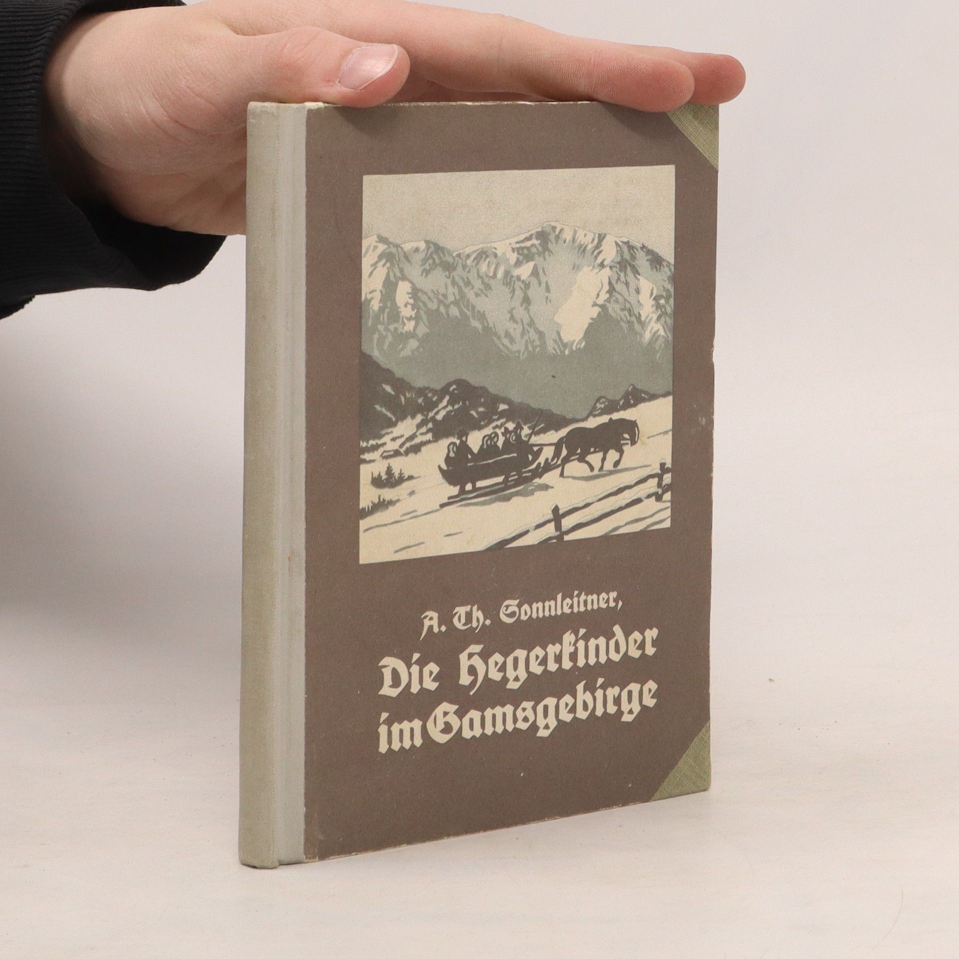 Alois Theodor Sonnleitner Die Hegerkinder im Gamsgebirge