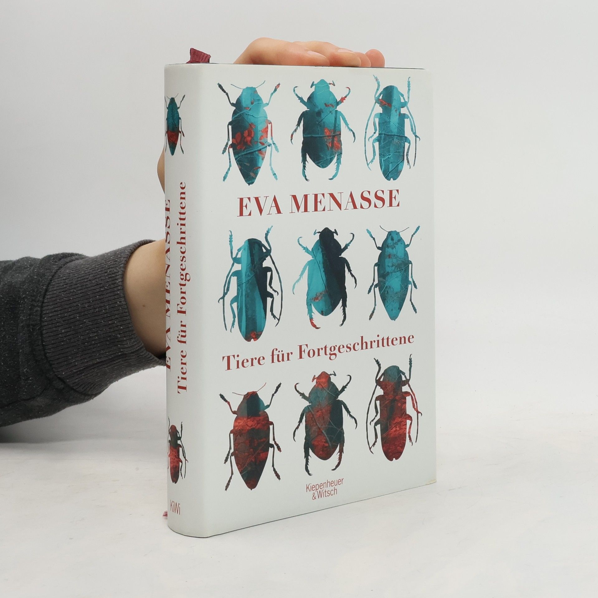 Eva Menasse Tiere für Fortgeschrittene