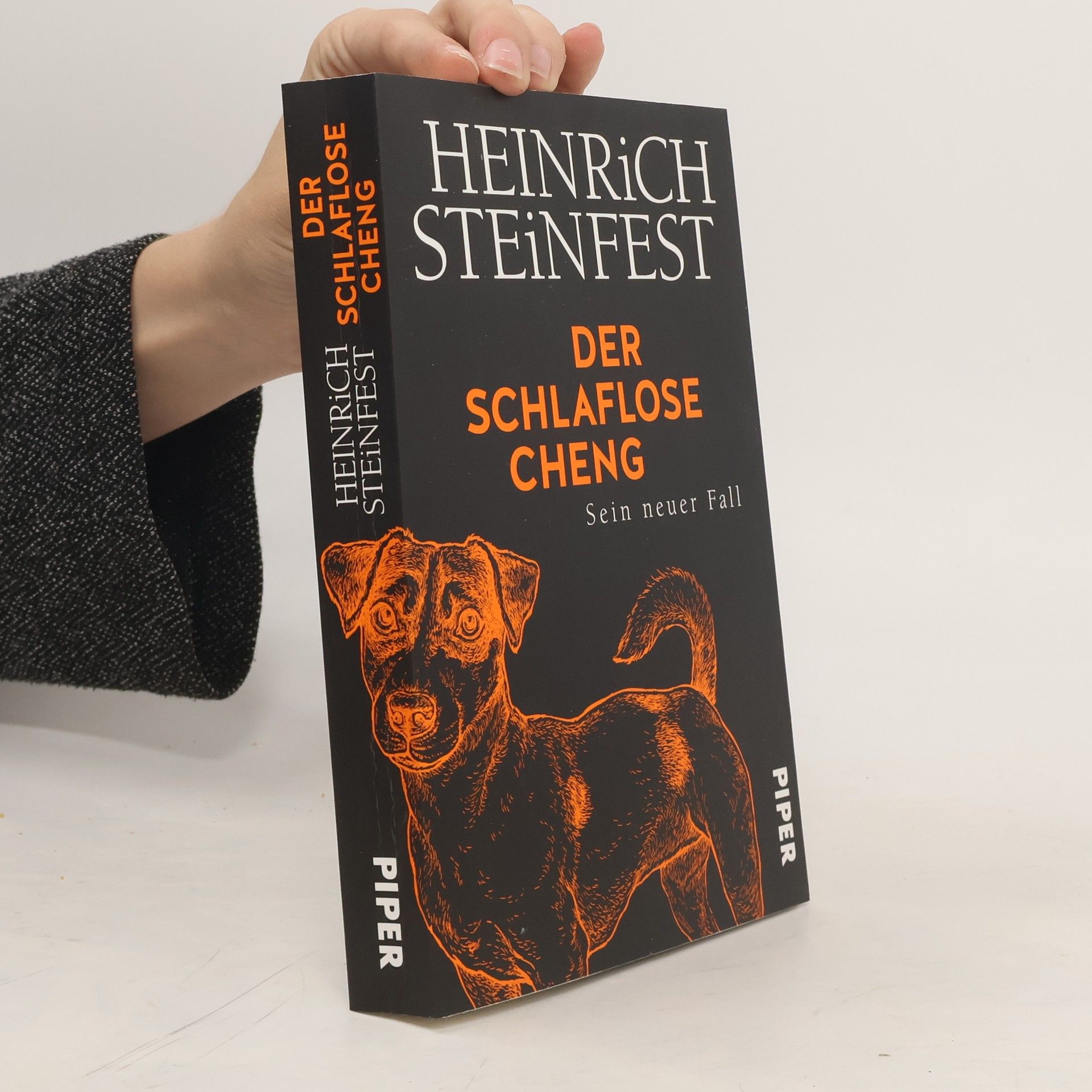 Heinrich Steinfest Der schlaflose Cheng