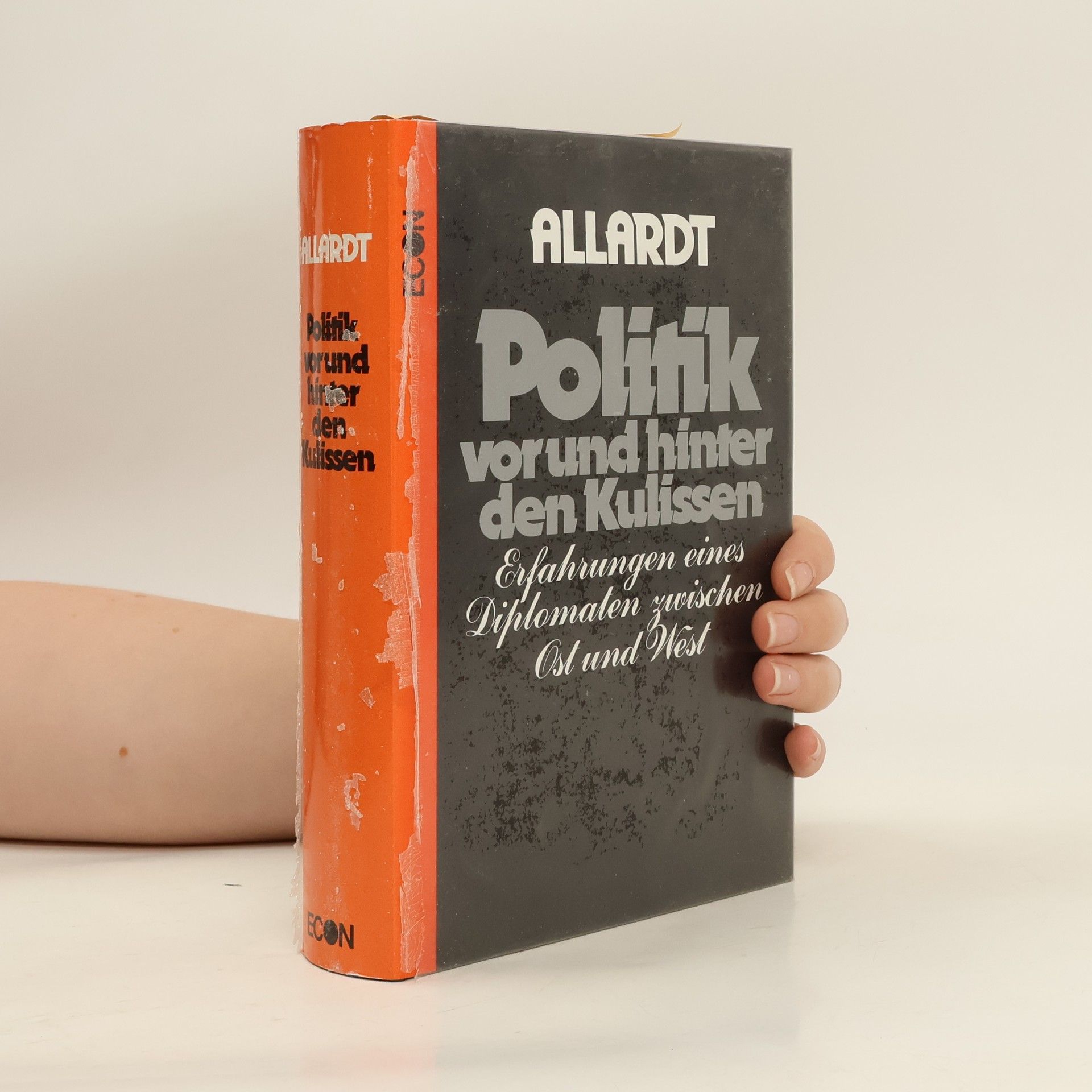 Helmut Allardt Politik vor und hinter den Kulissen