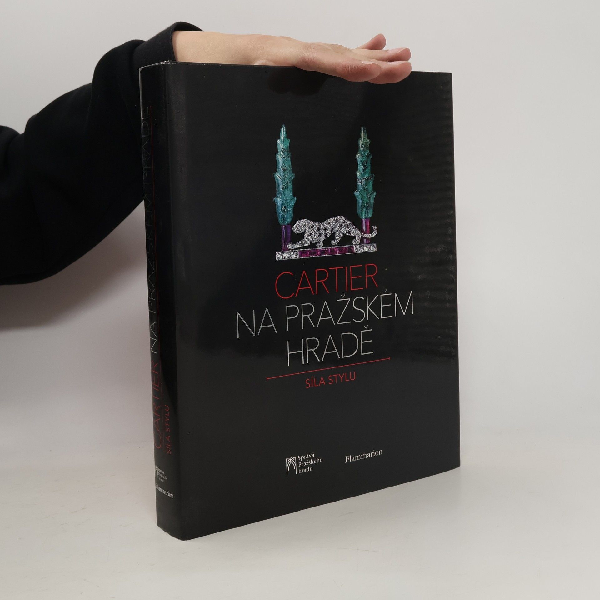 Various authors Cartier na Pražském hradě. Síla stylu