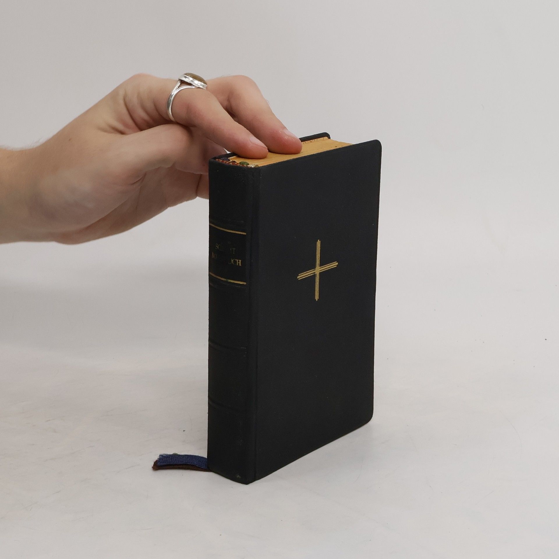 Kolektív autorov Das Meszbuch der beiligen Kirche