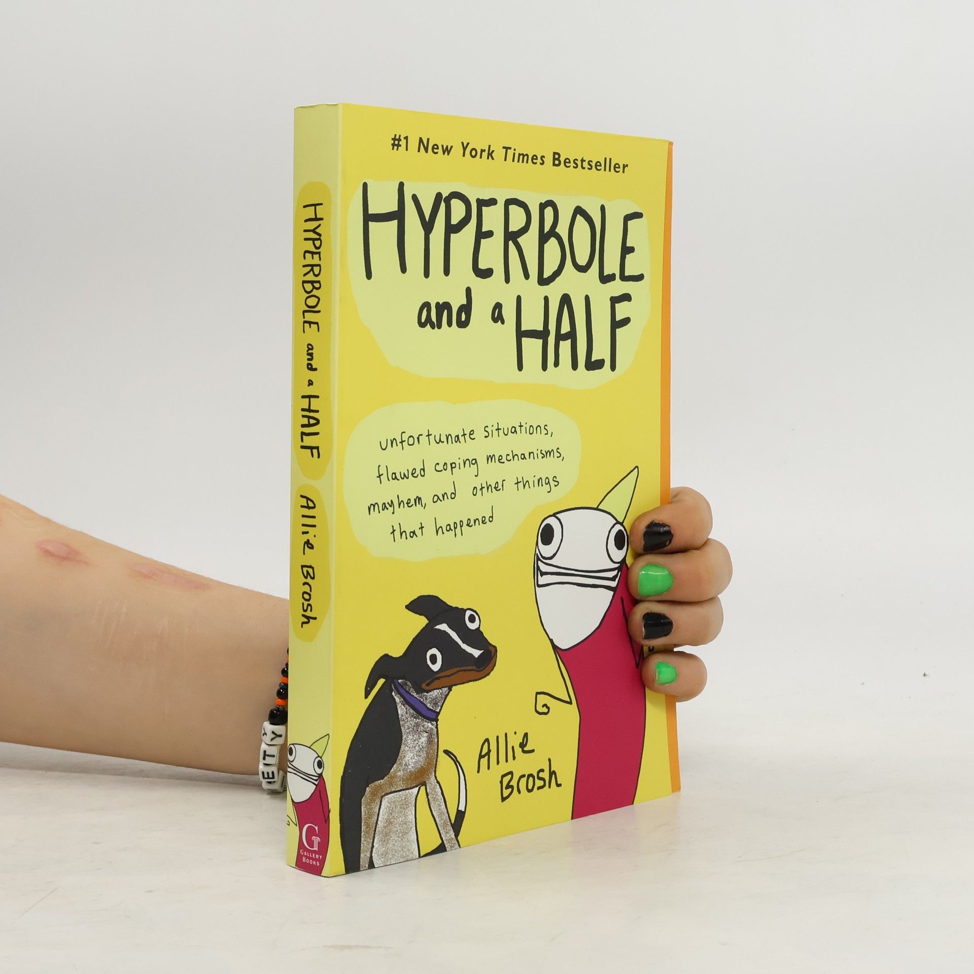 Allie Brosh Hyperbole and a Half