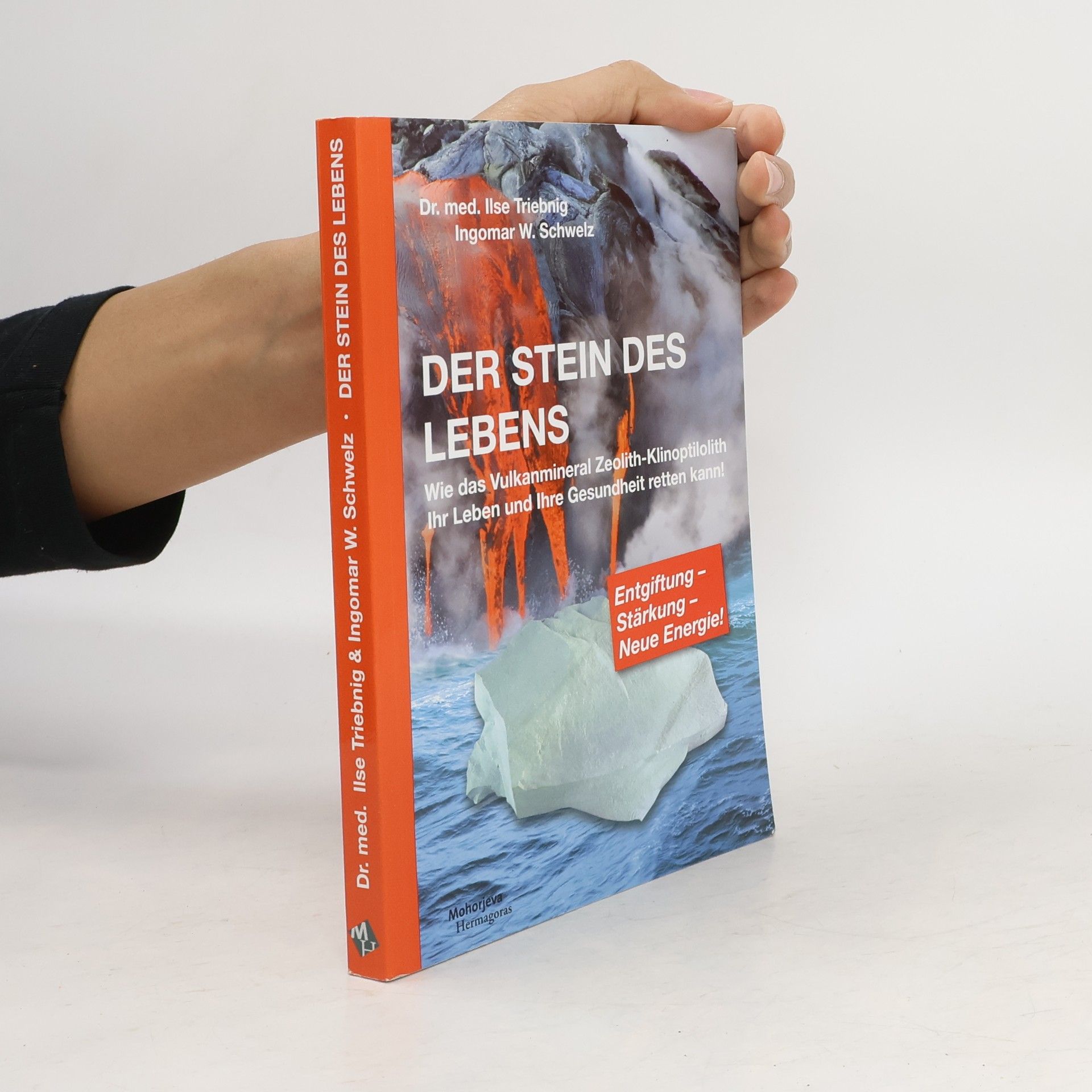 Ilse Triebnig Der Stein des Lebens