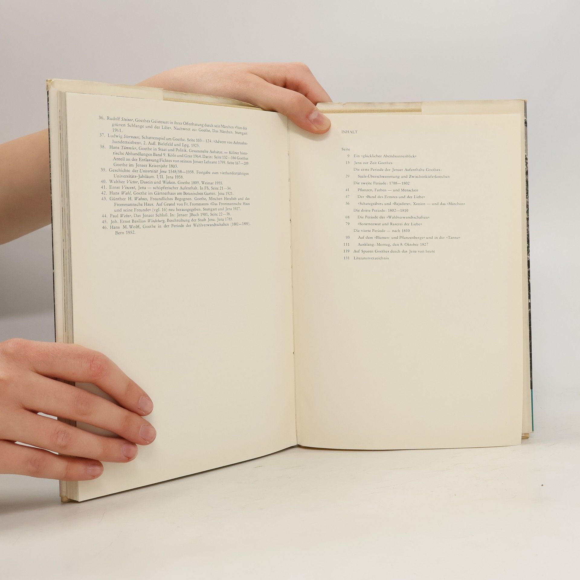 kolektiv Goethe in Jena