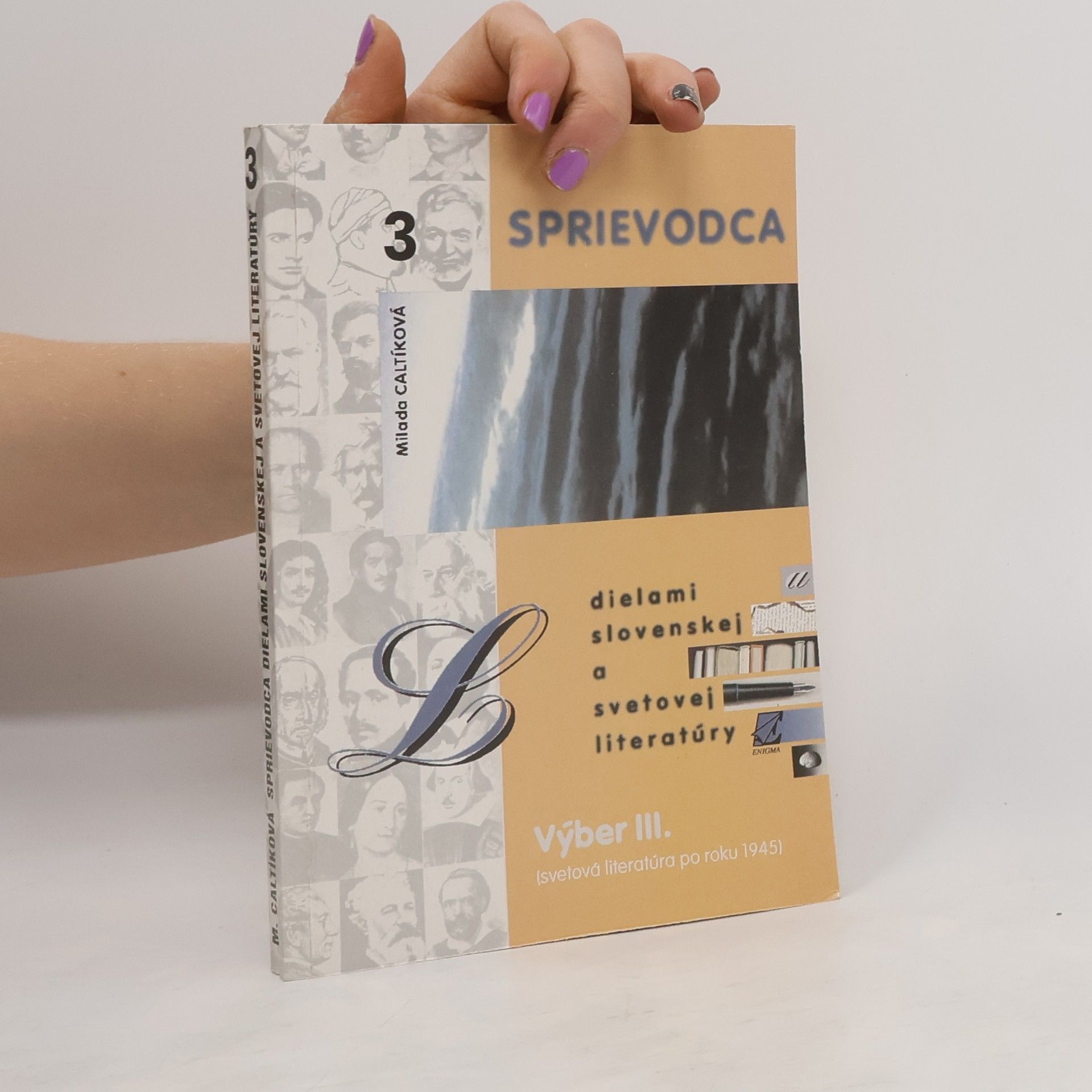 Milada Caltíková Sprievodca dielami slovenskej a svetovej literatúry (výber D)