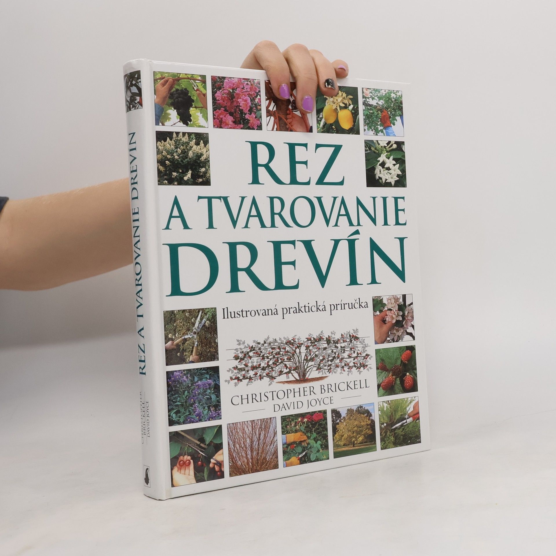 Christopher Brickell Rez a tvarovanie drevín