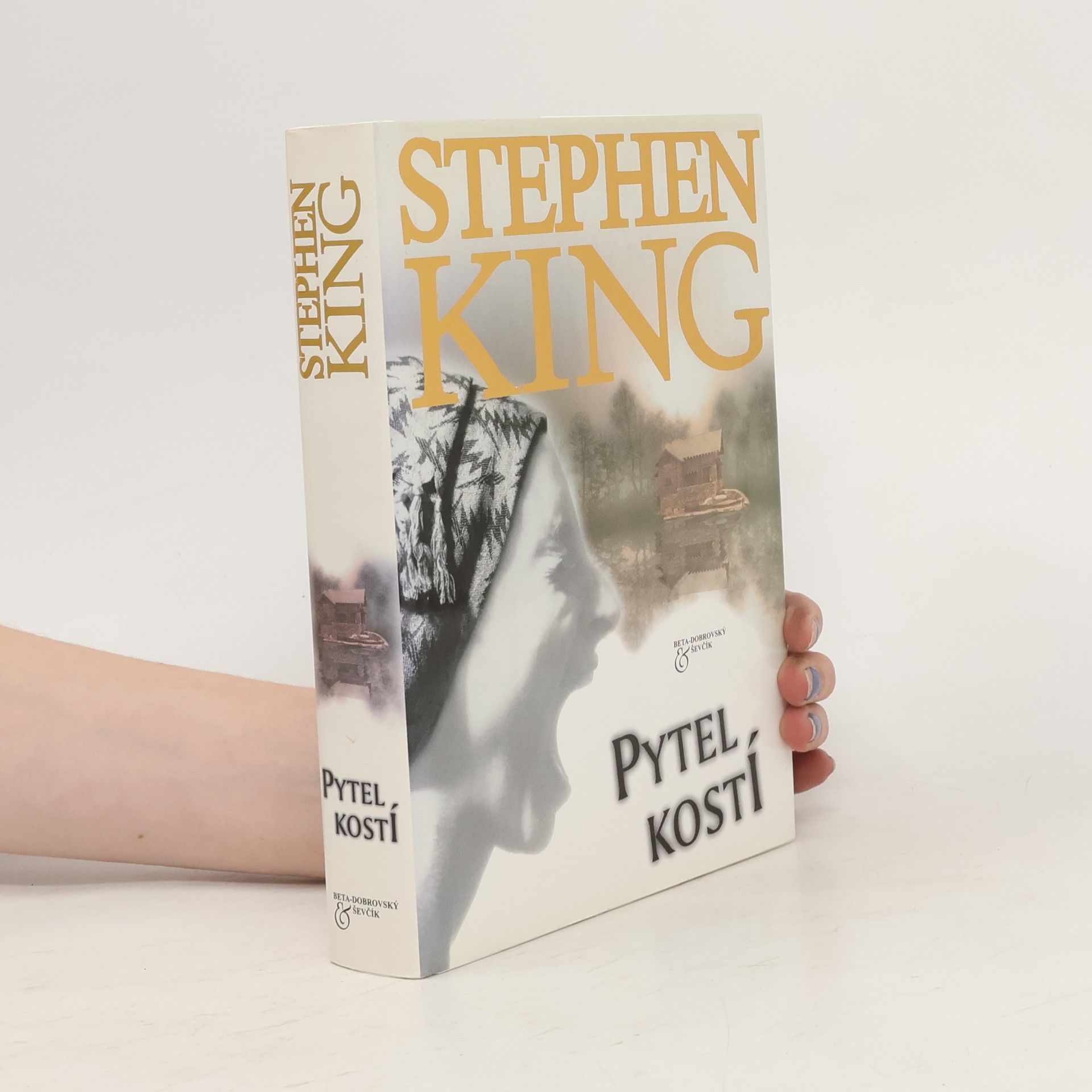 Stephen King Pytel kostí