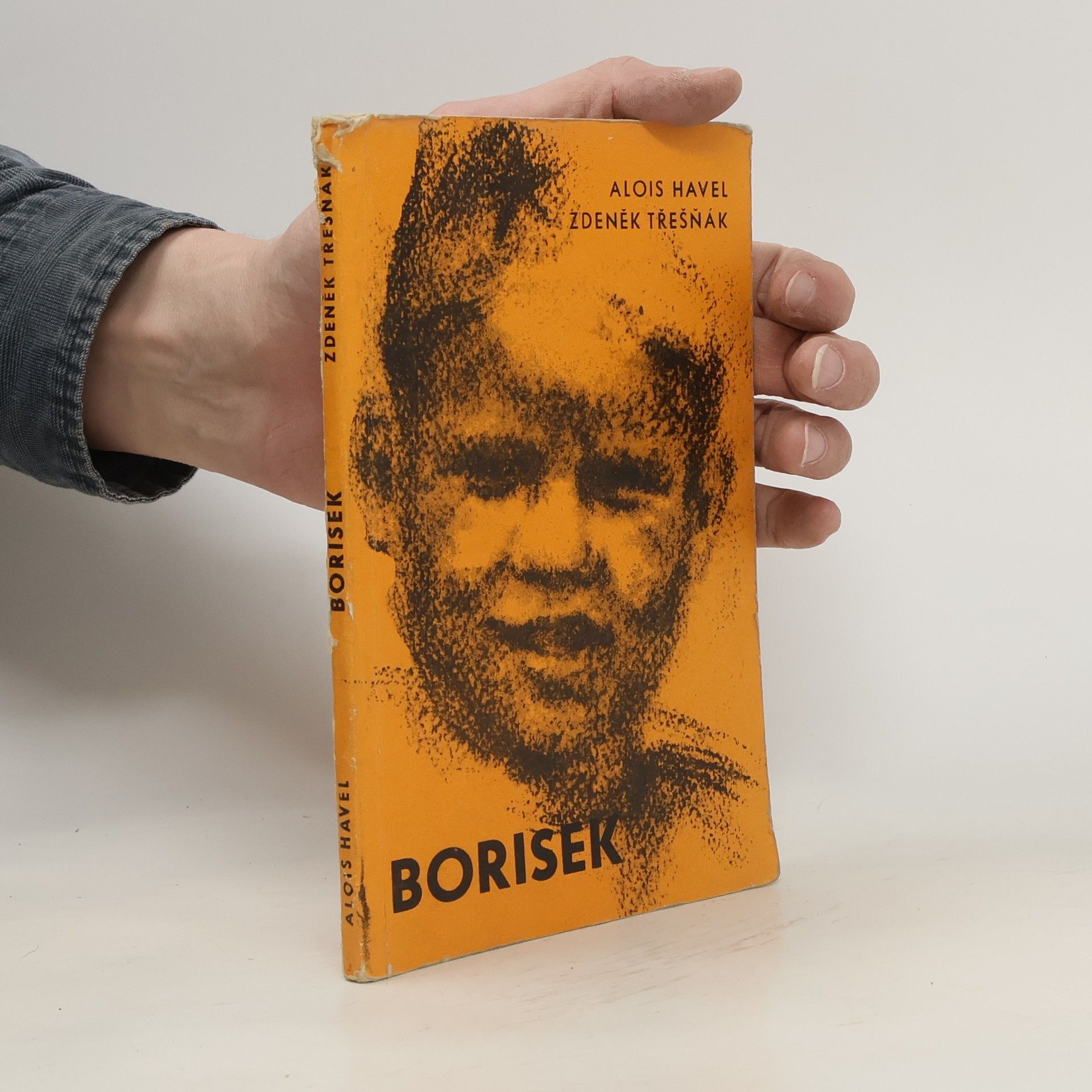 Alois Havel Borisek