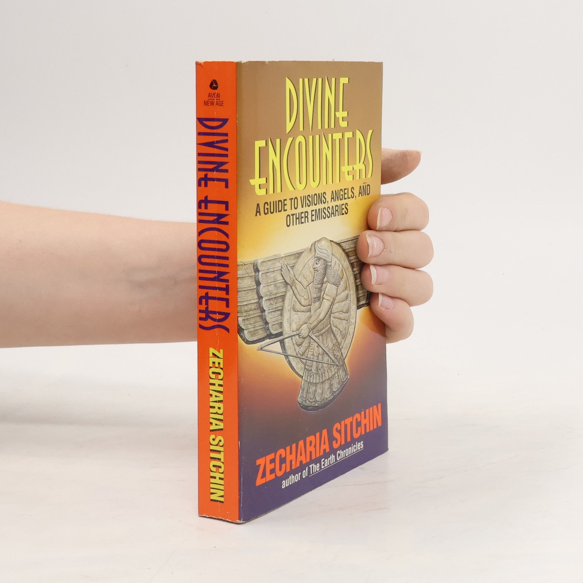 Zecharia Sitchin Divine Encounters
