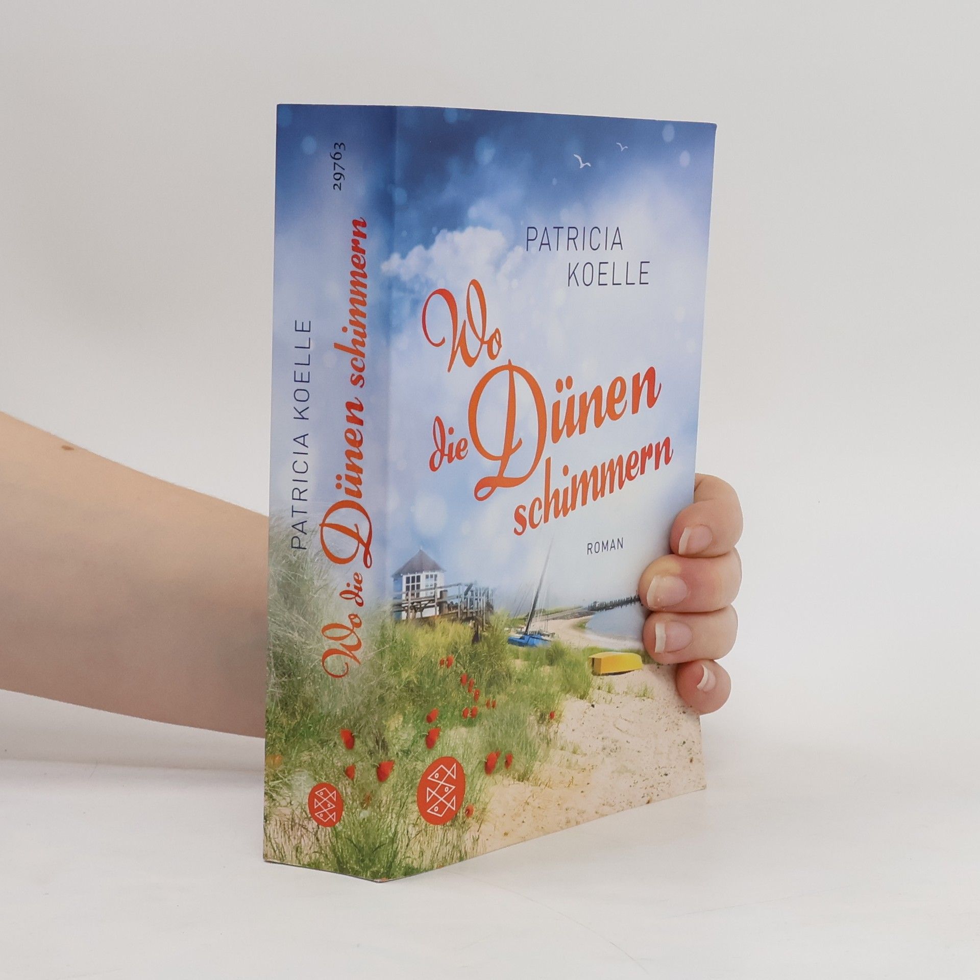 Patricia Koelle Wo die Dünen schimmern