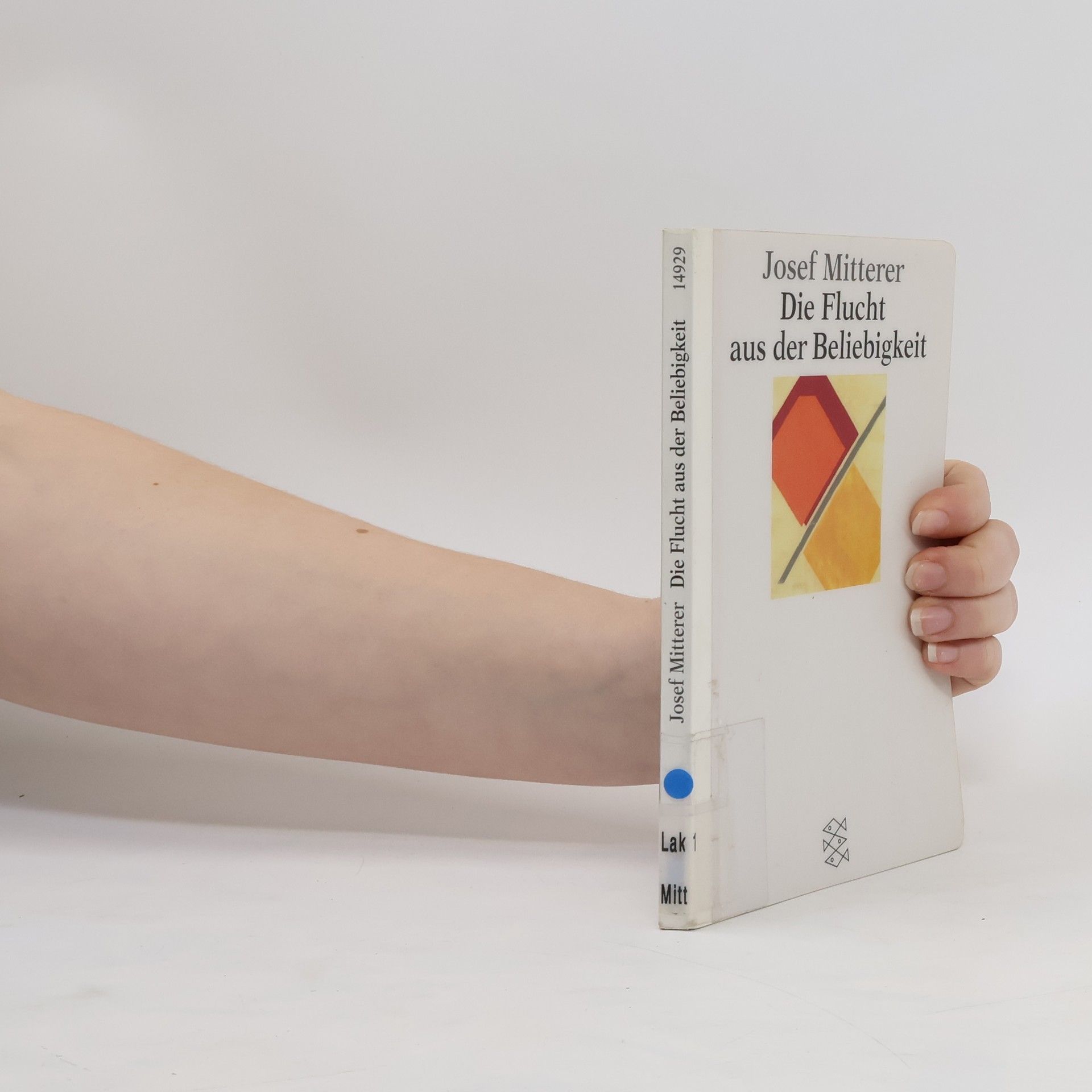 Josef Mitterer Die Flucht aus der Beliebigkeit
