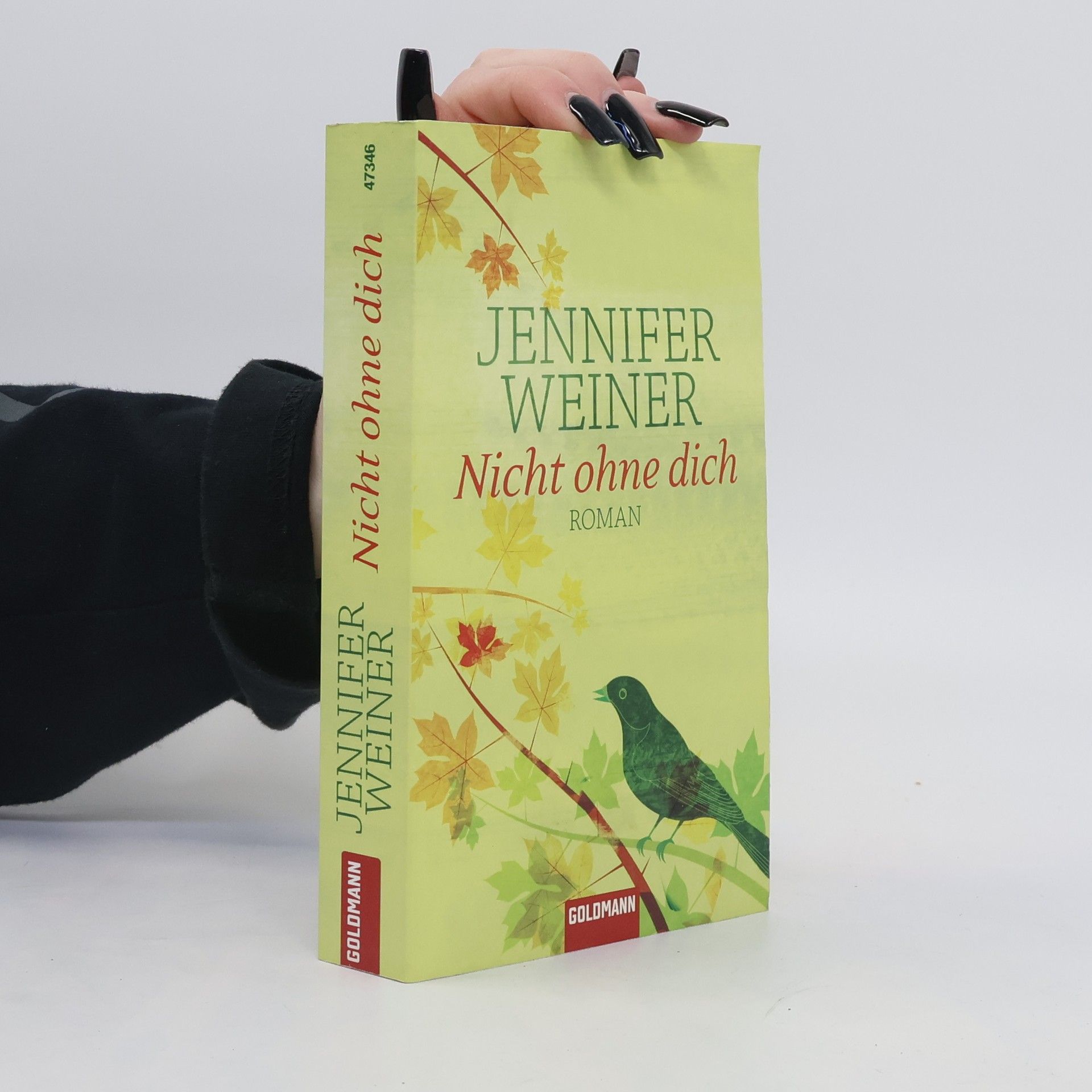 Jennifer Weiner Nicht ohne dich