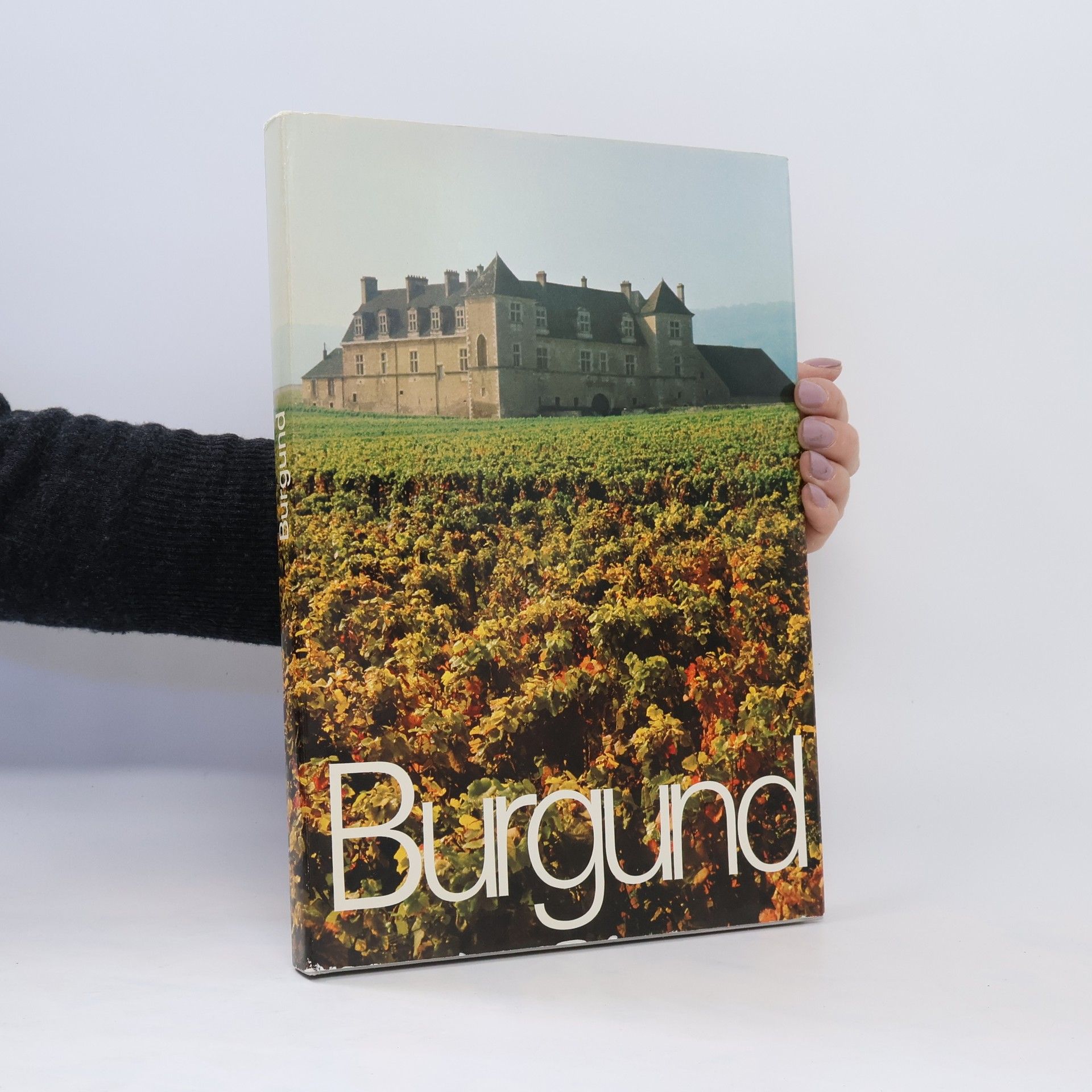 Autorenkollektiv Burgund