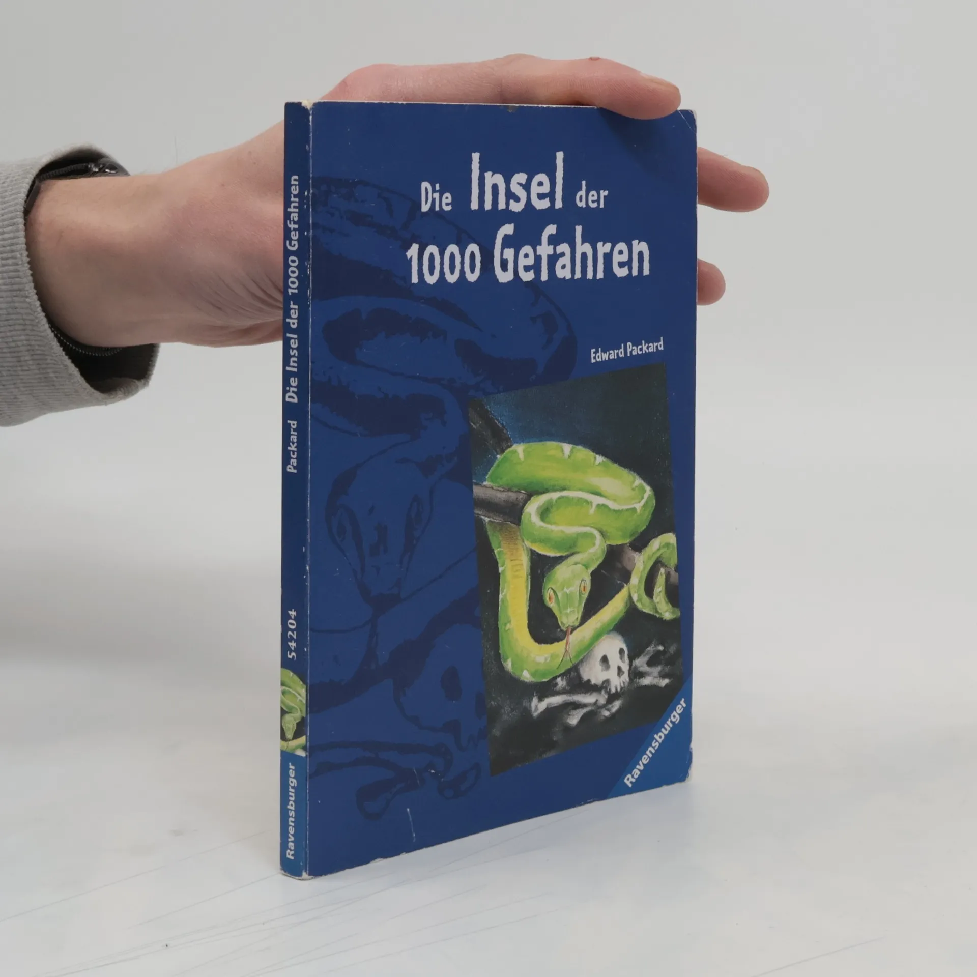 Die Insel der 1000 Gefahren | Book | Edward Packard | DE