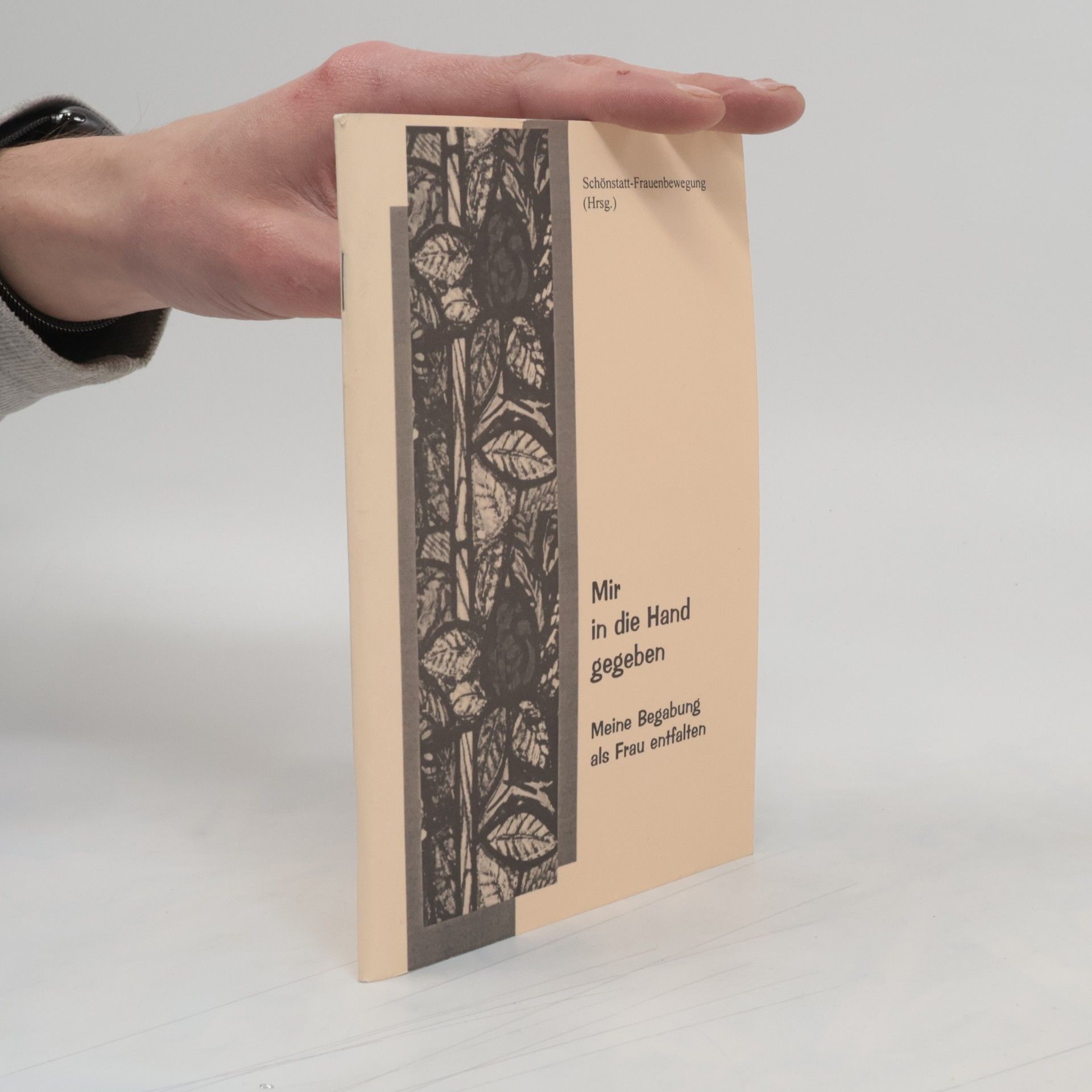 Collectif d'auteurs Mir in die Hand gegeben