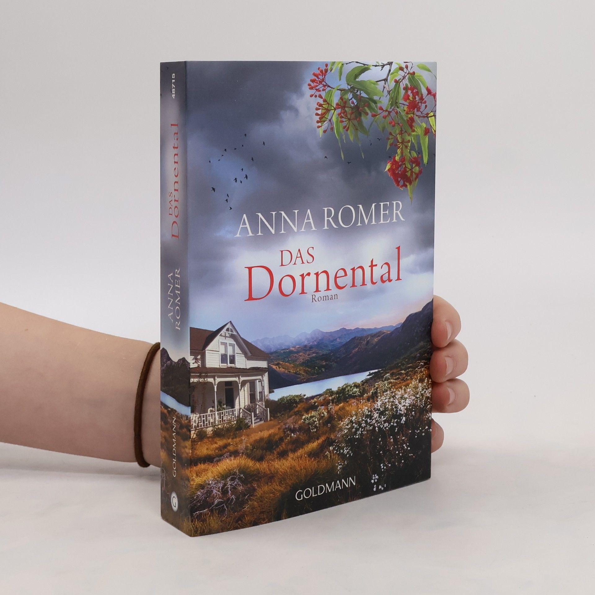 Roberto de Hollanda Das Dornental : roman
