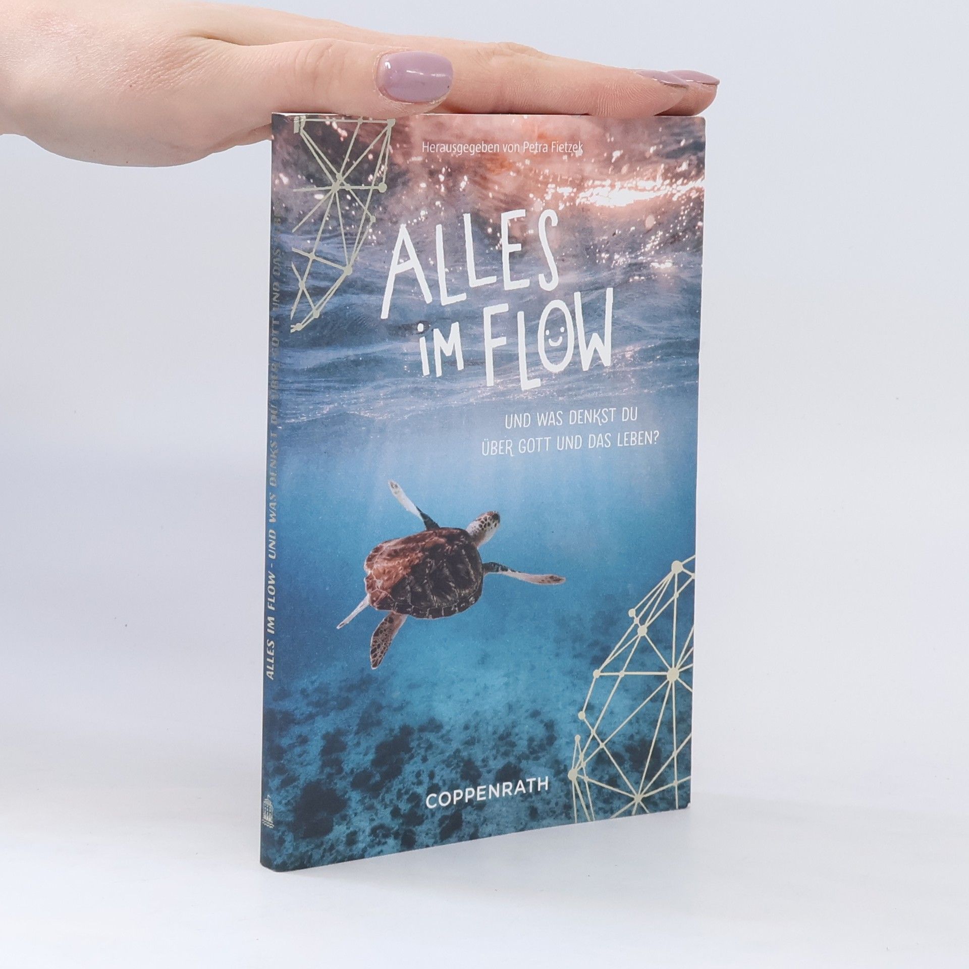 Petra Engels-Fietzek Alles im Flow