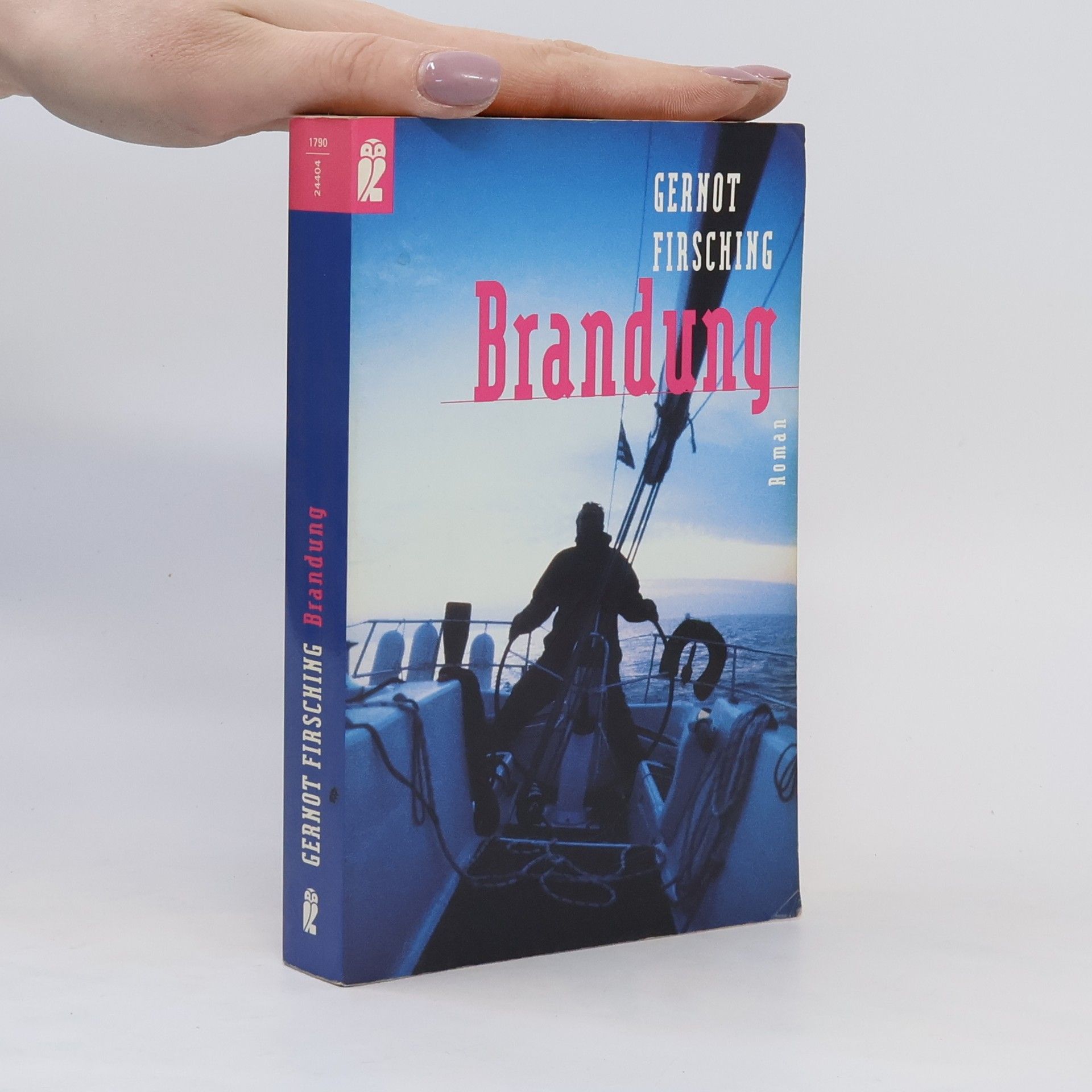 Gernot Firsching Brandung