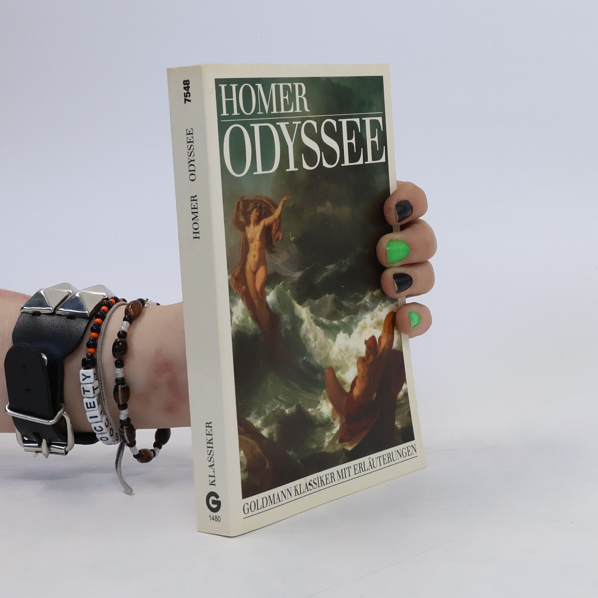 Homère Odyssee