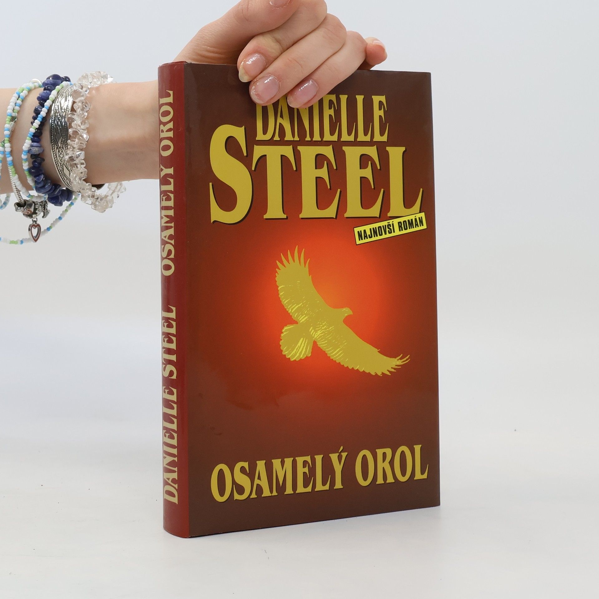 Danielle Steelová Osamelý orol