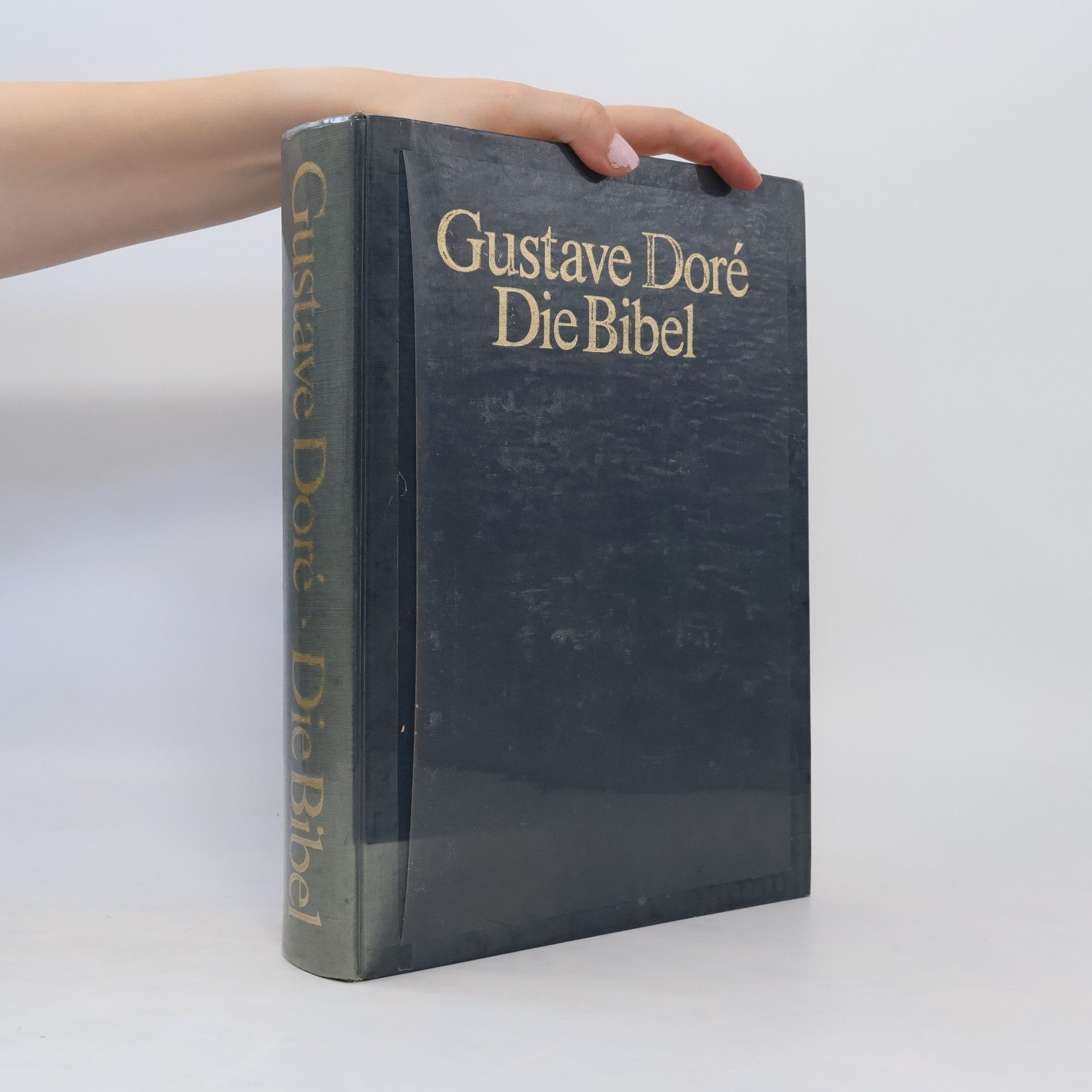 Gustave Doré Die Bibel