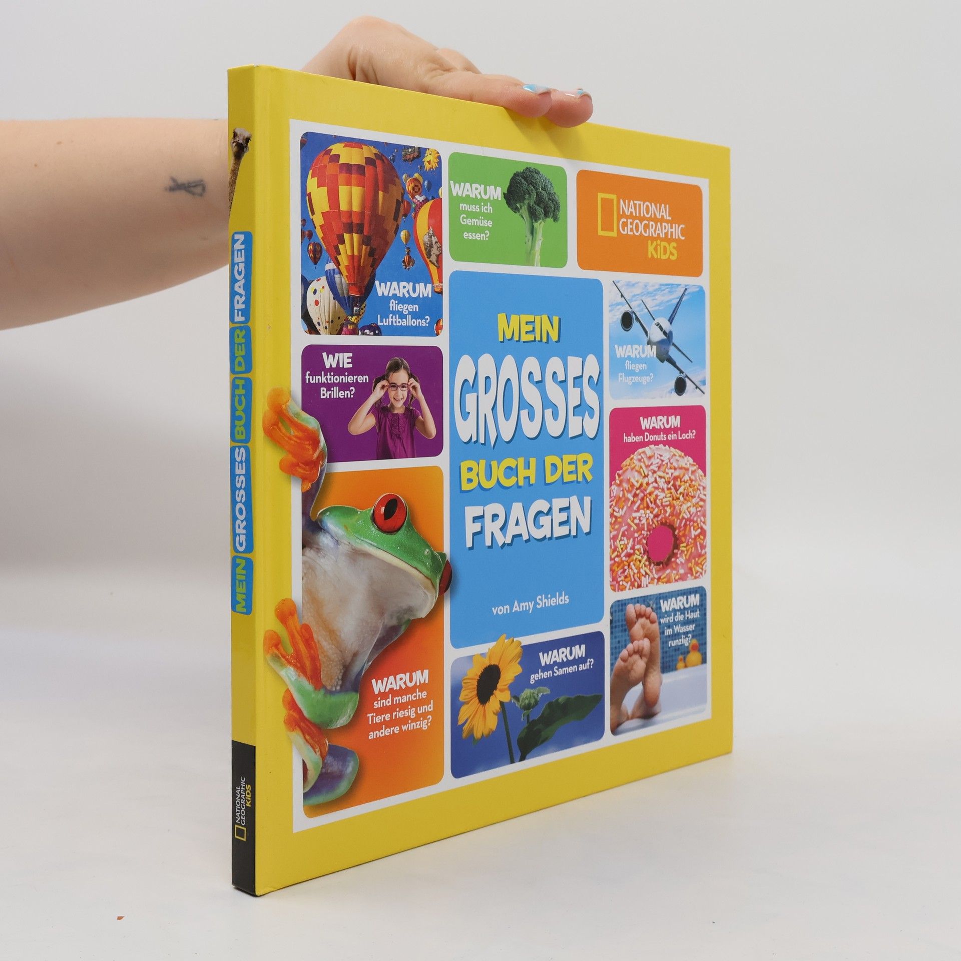 Amy Shields Mein großes Buch der Fragen