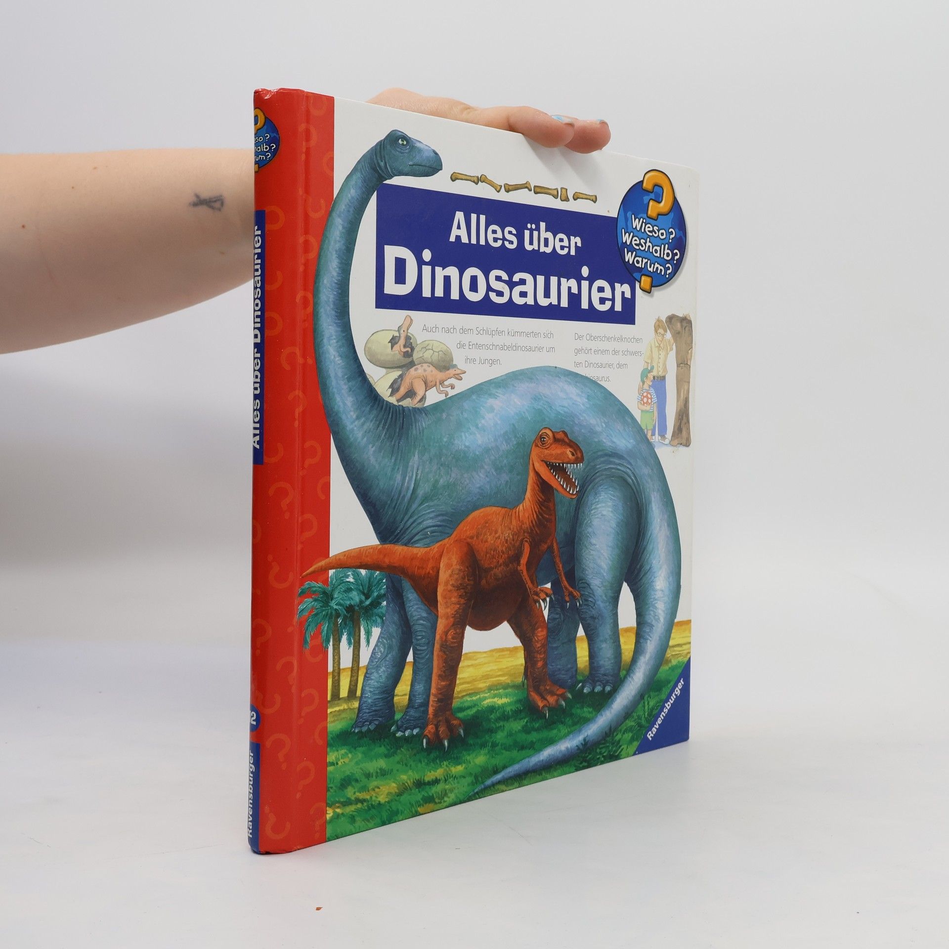 Patricia Mennen Alles über Dinosaurier