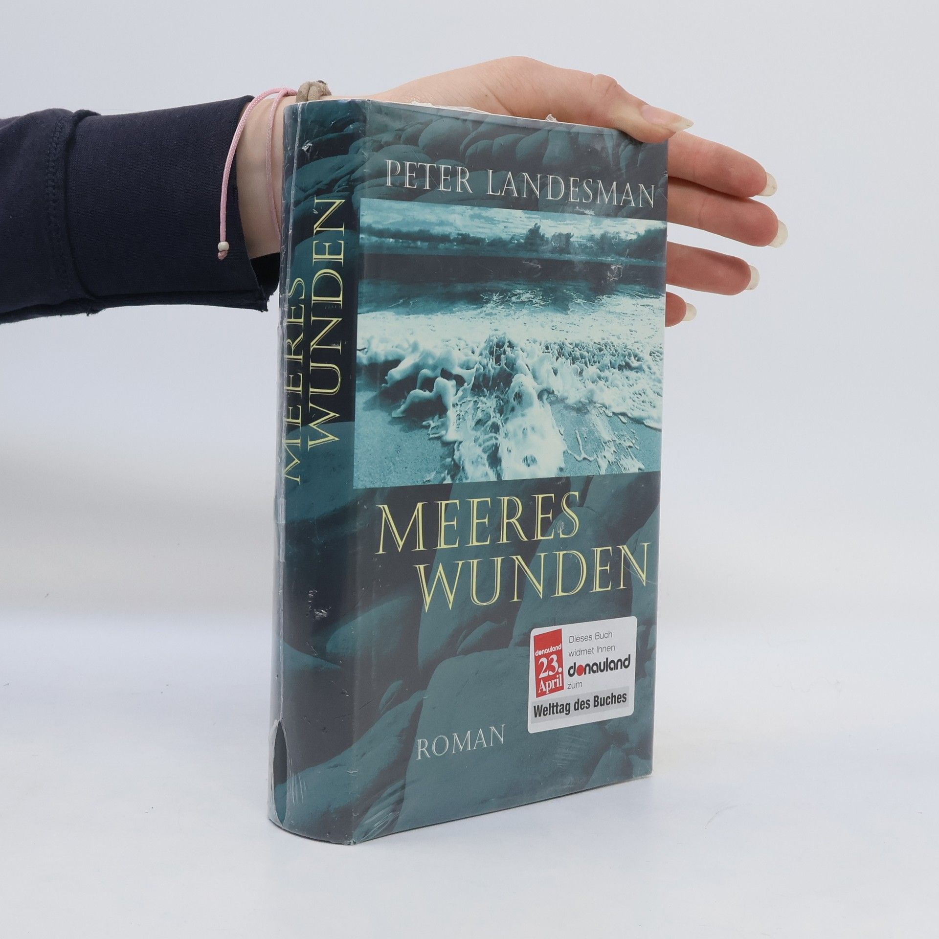 Peter Landesmann Meeres Wunden