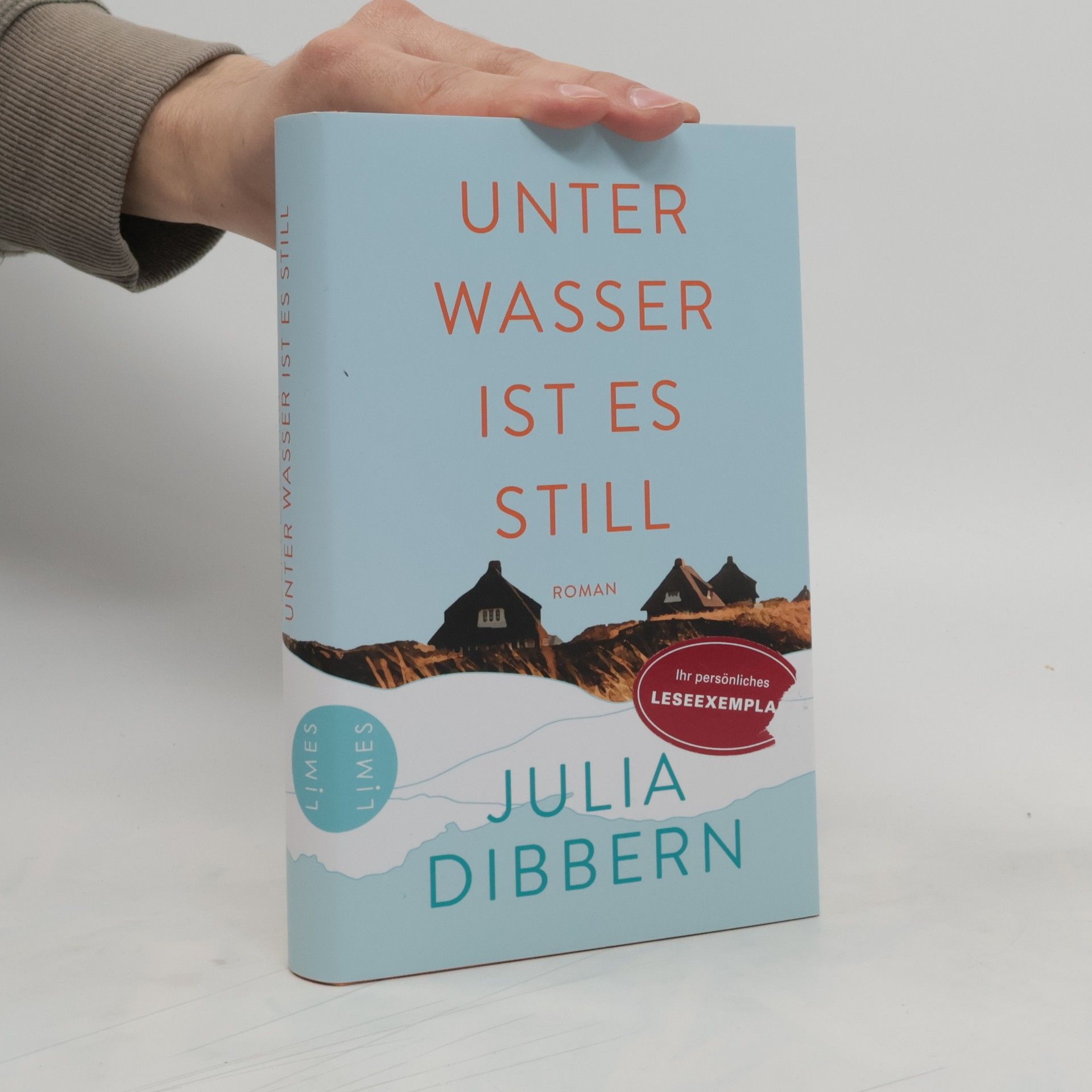 Julia Dibbern Unter Wasser ist es still