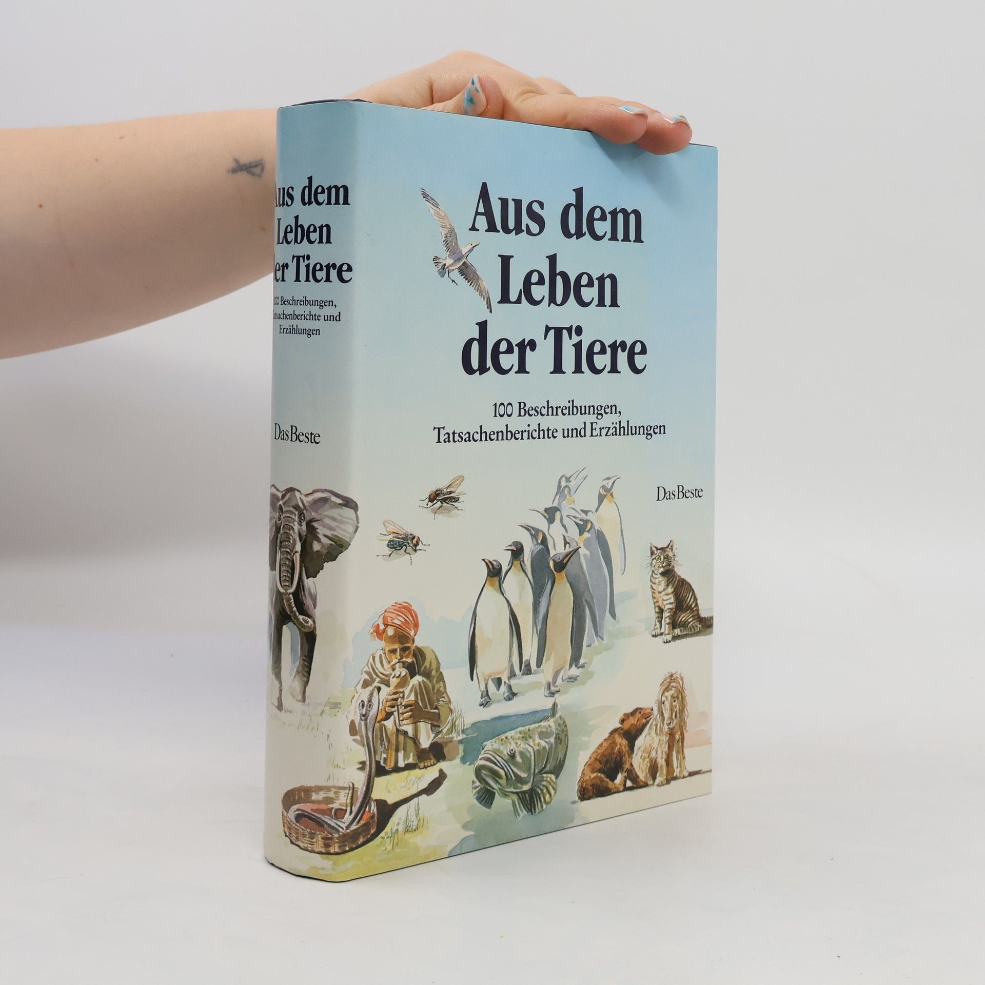 Kolektív autorov Aus dem Leben der Tiere