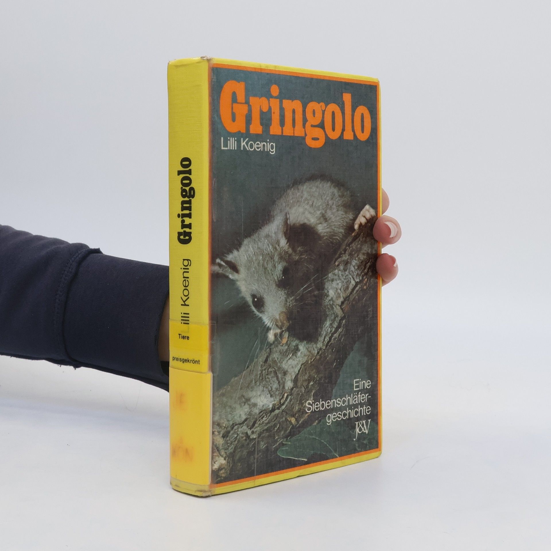 Lilli Koenig Gringolo