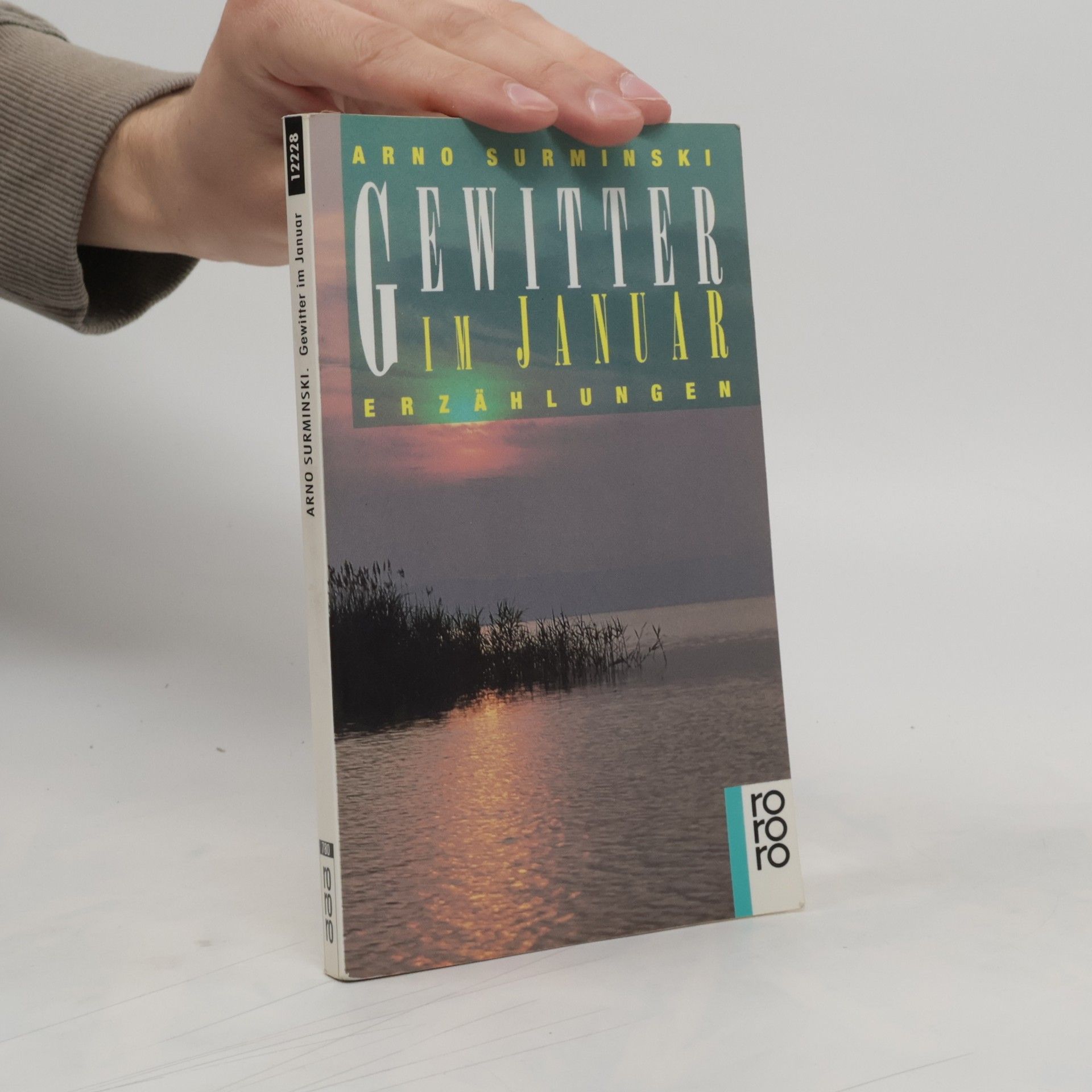 Arno Surminski Gewitter im Januar