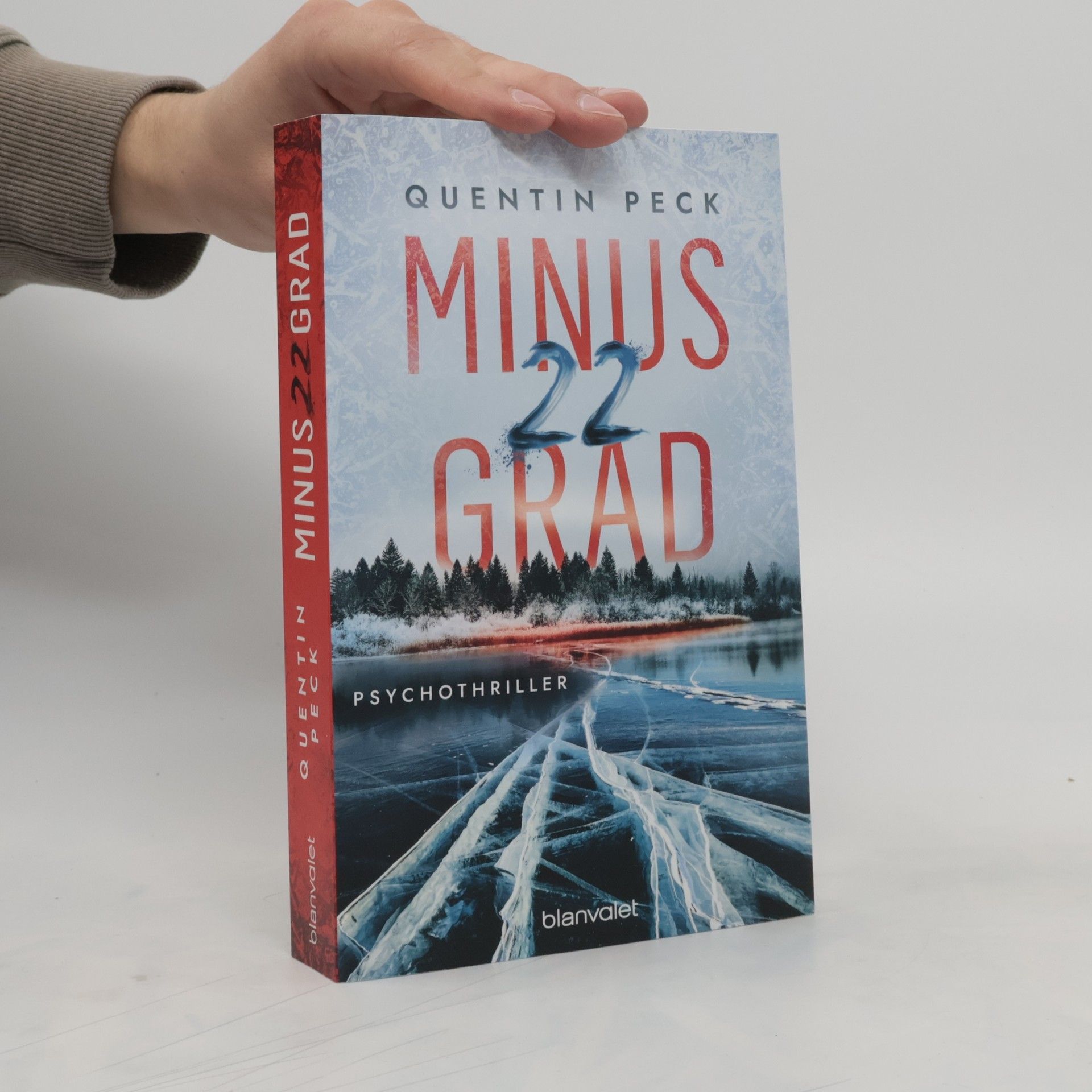 Quentin Peck Minus 22 Grad. Psychothriller