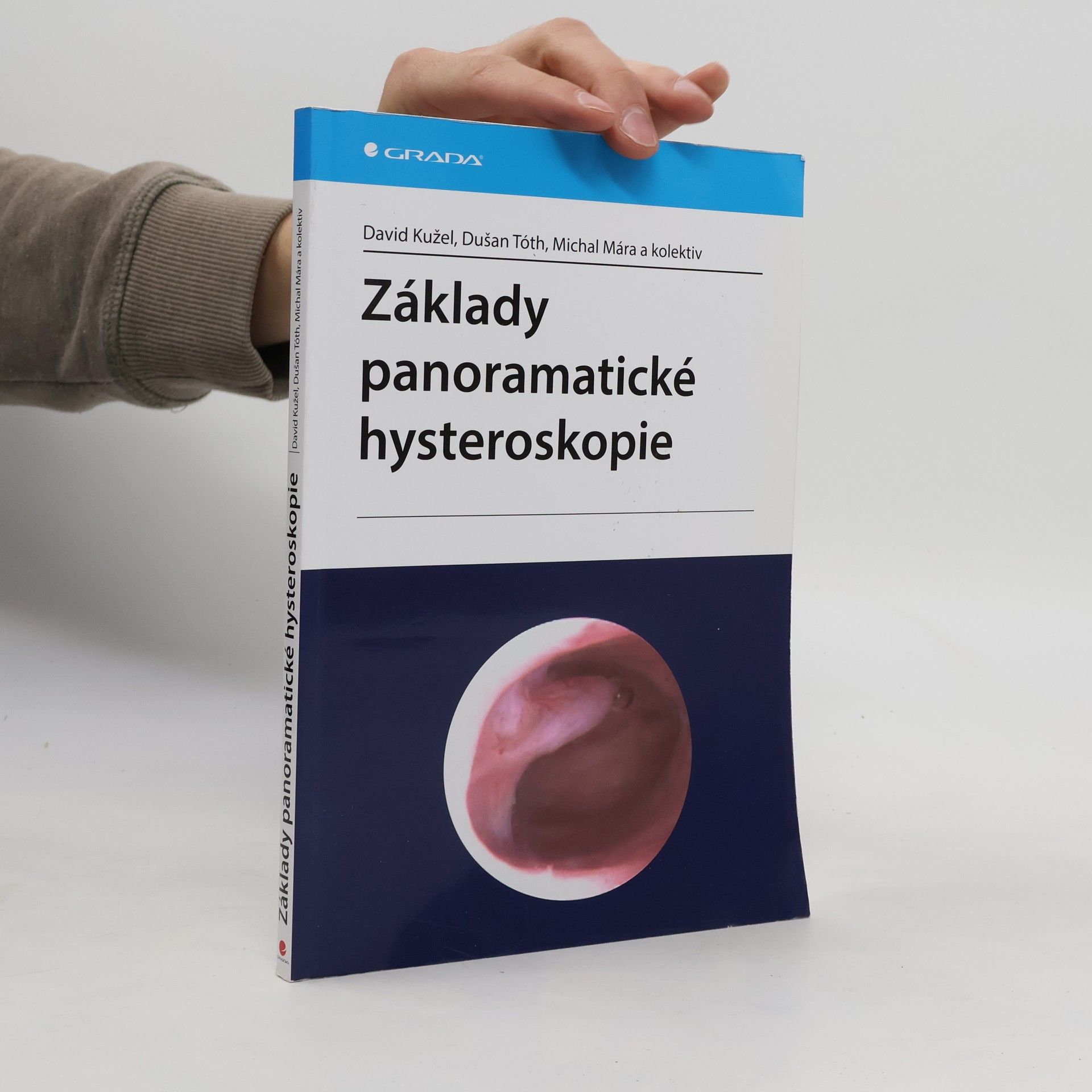 David Kužel Základy panoramatické hysteroskopie