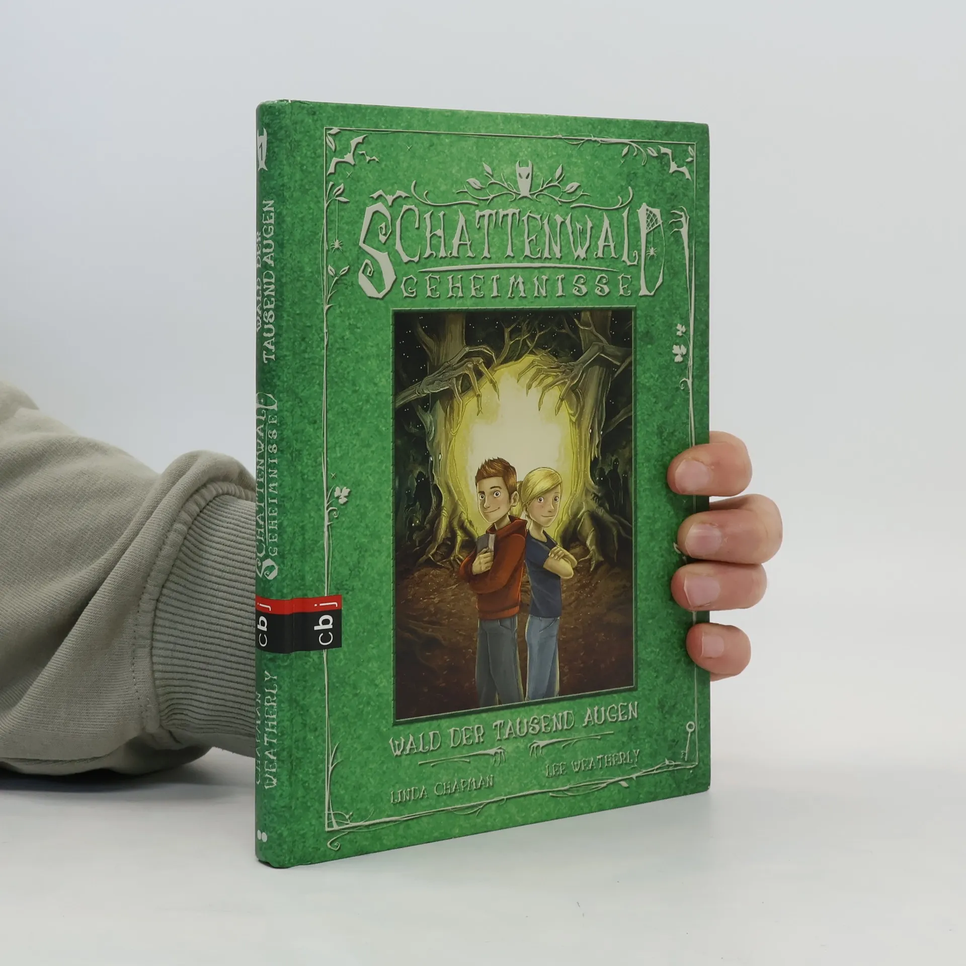 Schattenwald Geheimnisse. Wald der tausend Augen | Buch | Hardcover | Linda Chapman