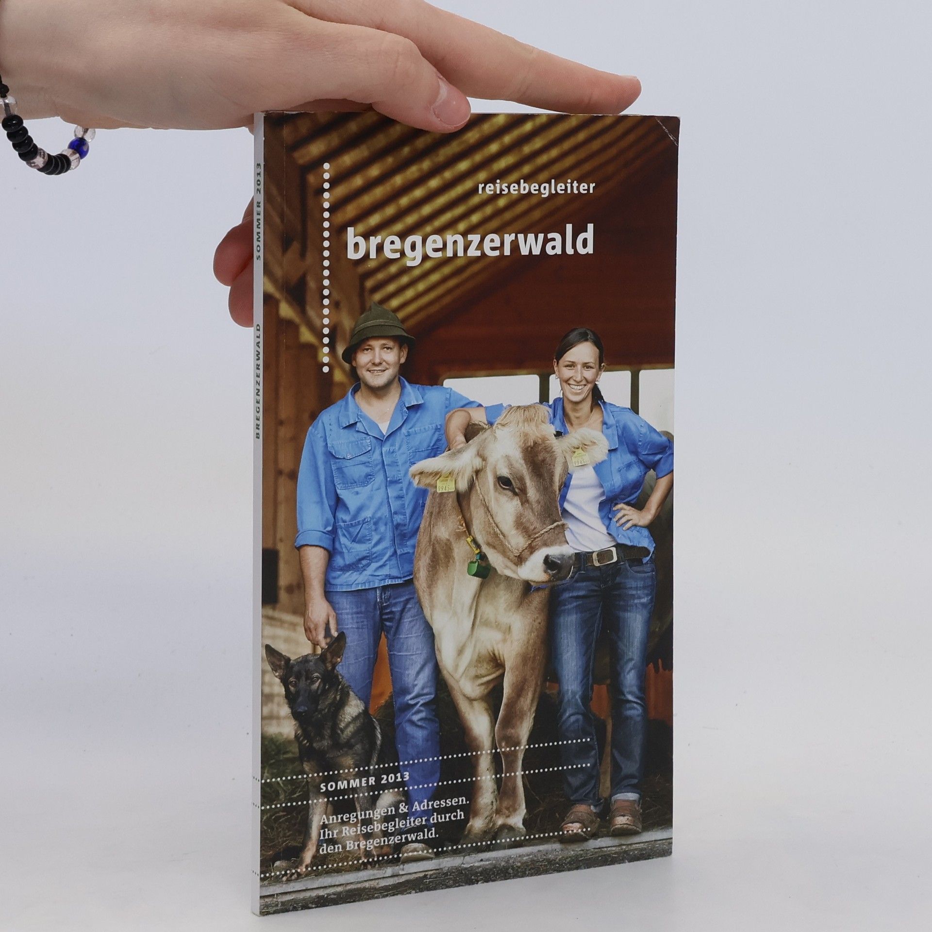 kolektiv Relsebegleiter bregenzerwald Sommer 2013