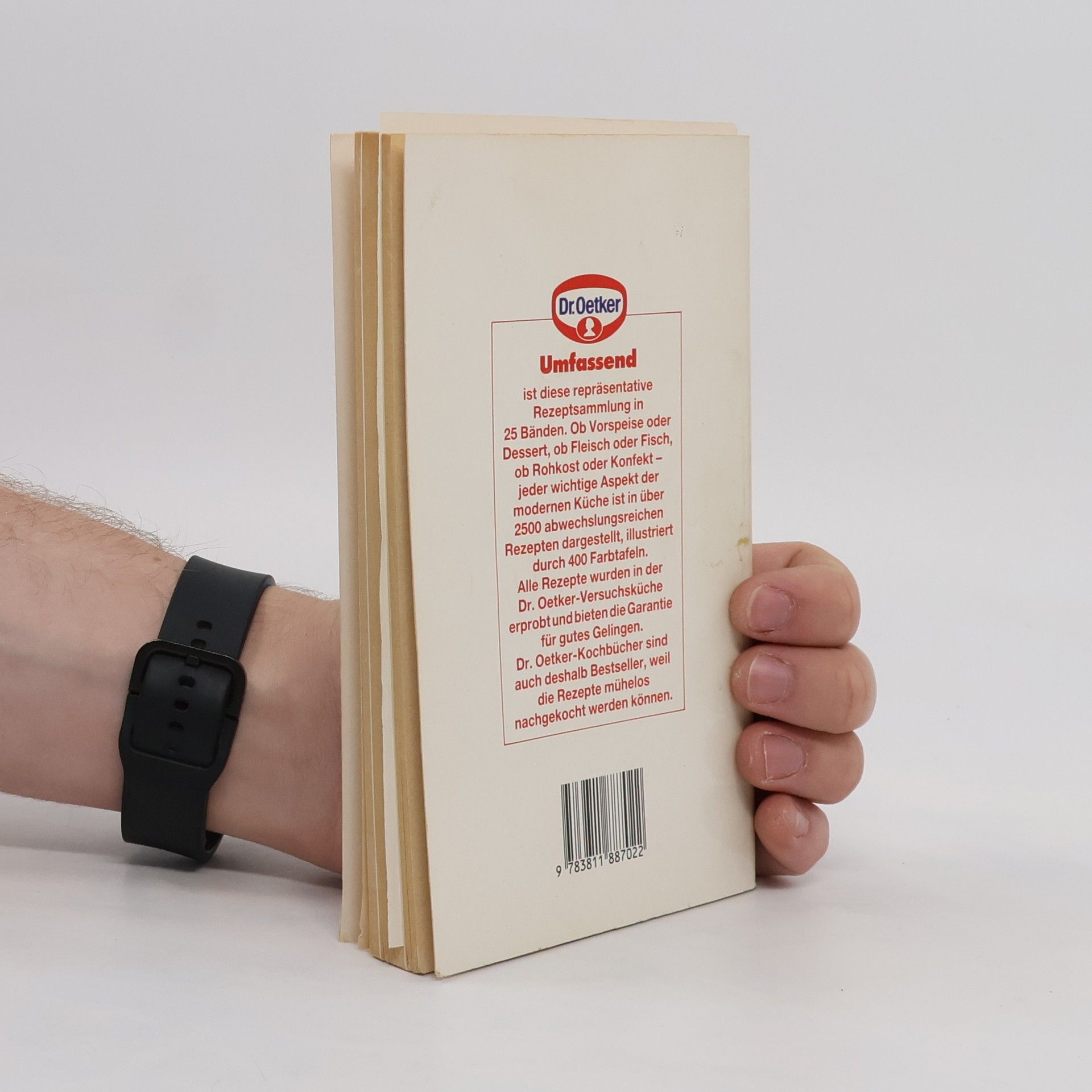 Autores varios Pizza und andere Mehlspeisen